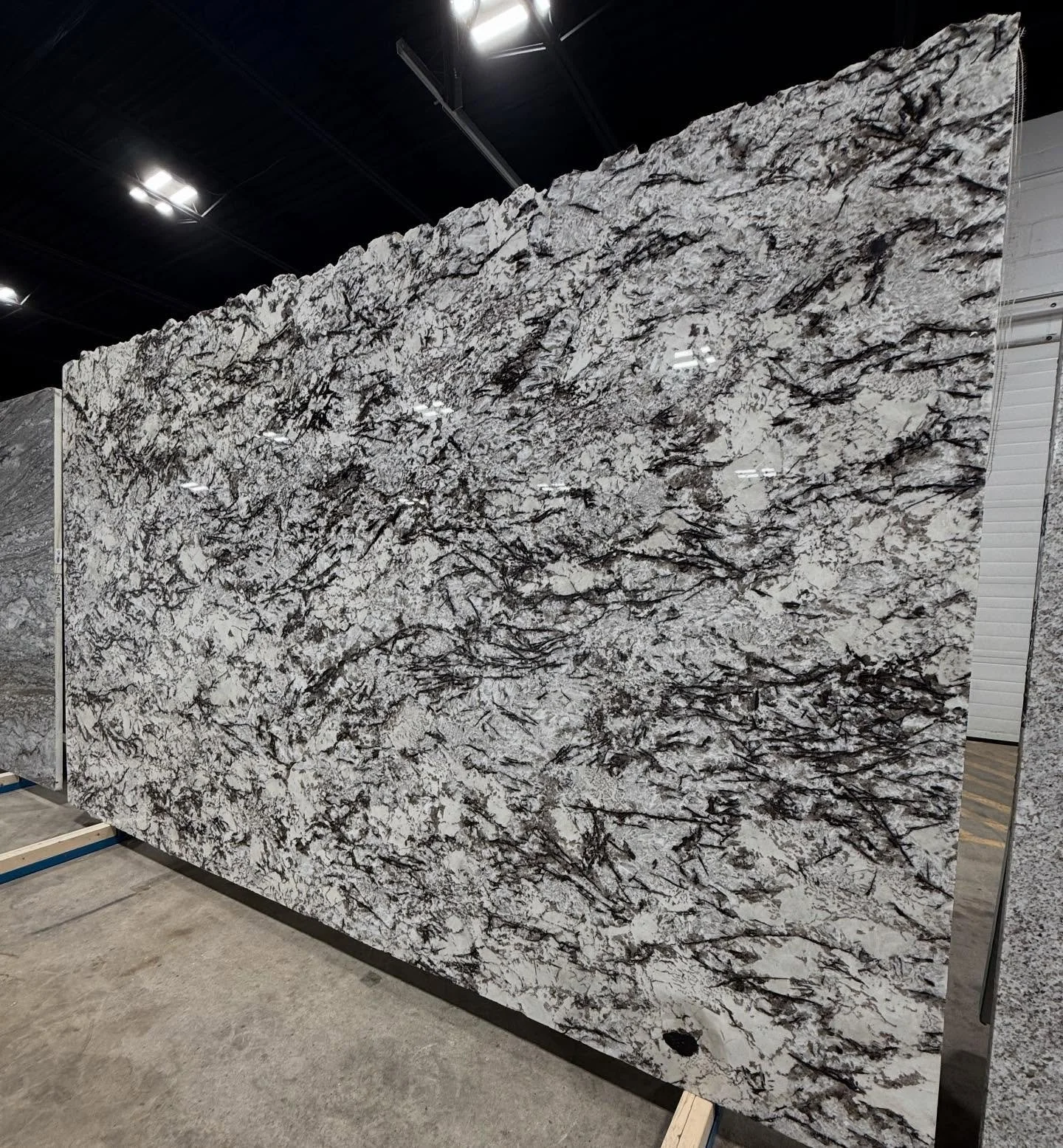 Meet Delicatus White Granite - the slab that said, &ldquo;I&rsquo;m bold, I&rsquo;m beautiful, and yes&hellip; I did wake up like this.&rdquo; Warning: Installing this stone may cause ✅ Excessive kitchen staring ✅ Random countertop petting ✅ Guests a