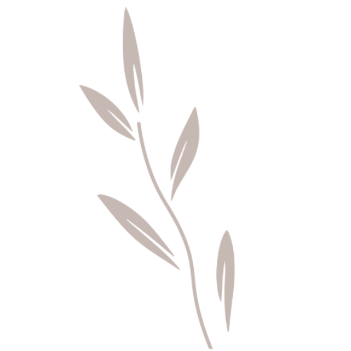 A simple illustration of a sprig with elongated leaves.