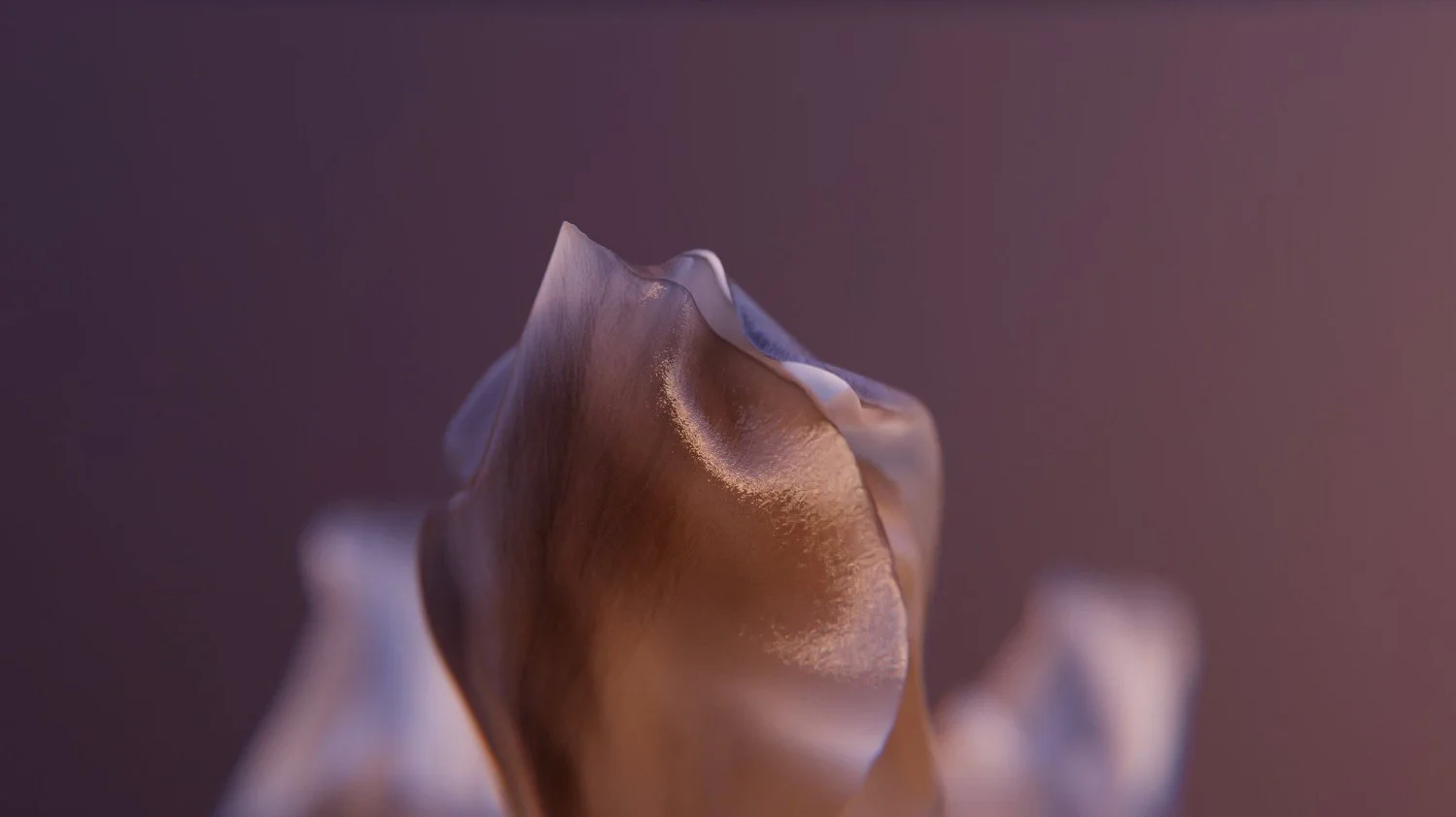 Fallback_Bildschirmfoto 2025-10-12 um 19.40.54.jpeg