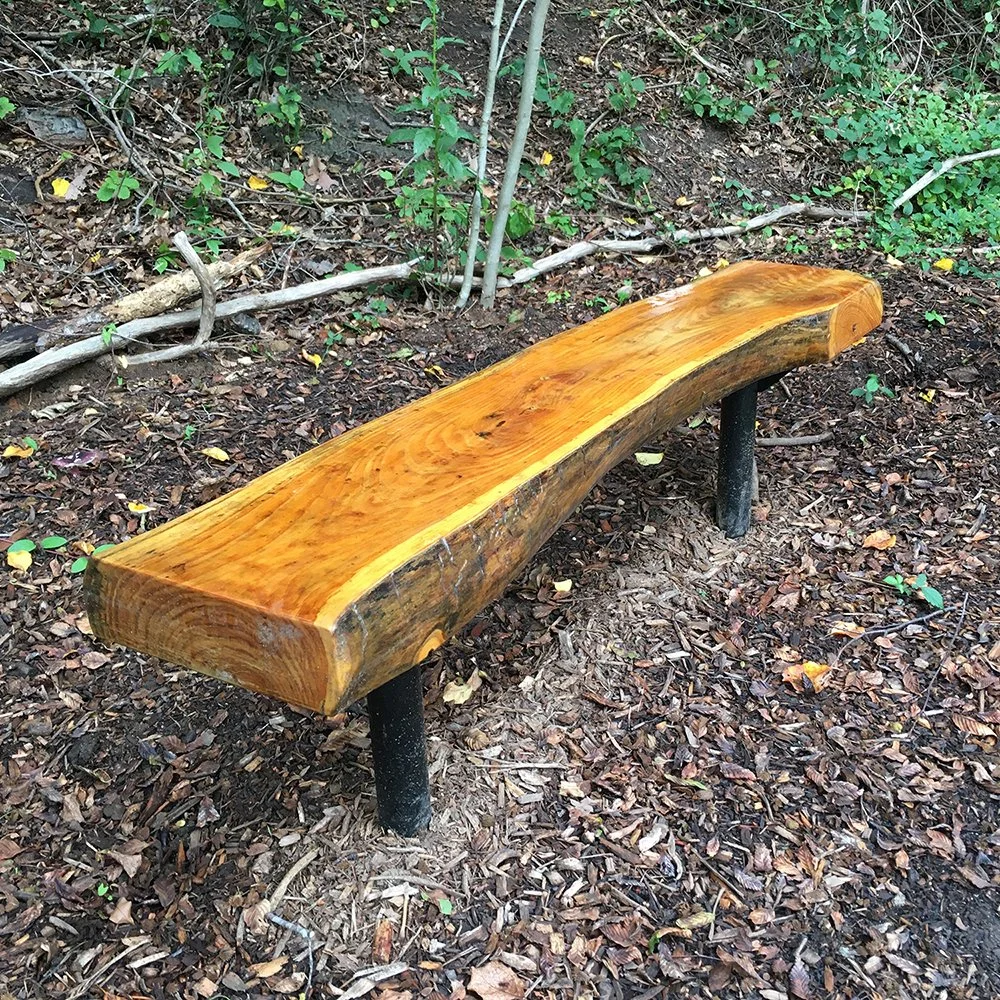 A wooden bench with a natural, polished finish situated on a dirt ground covered with fallen leaves and surrounded by plants and bushes.