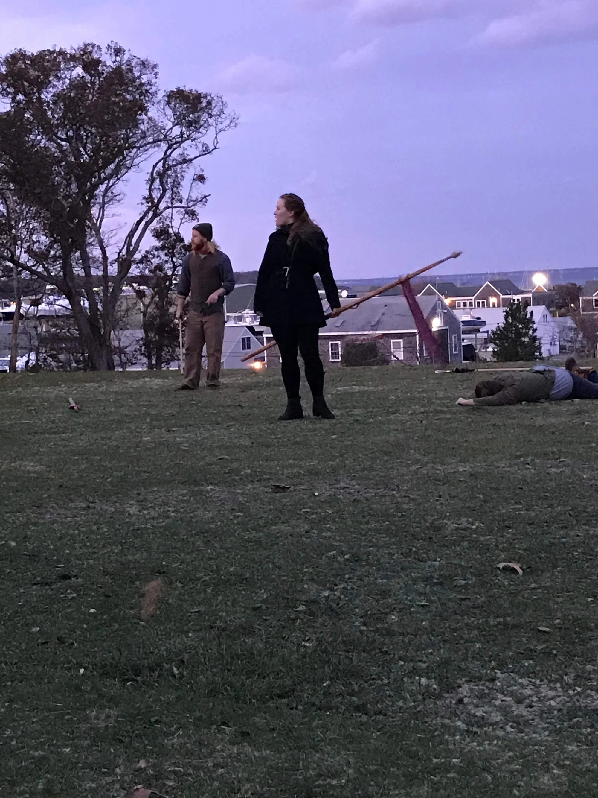 People lying and standing on grass in a park during sunset, with trees, houses, and a large tree in the background.