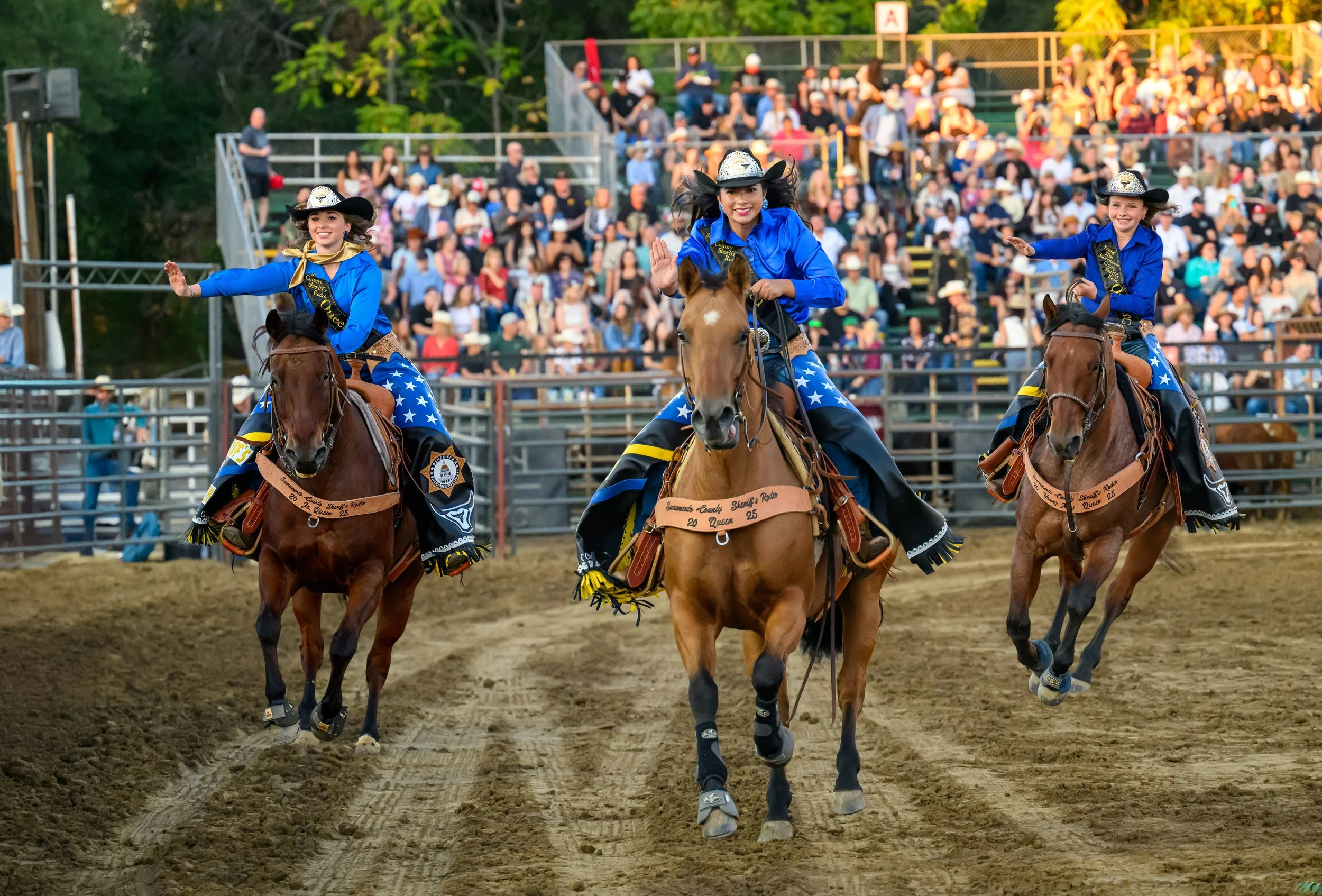 Rodeo Queen | Join the Celebration Today — Experience the Thrill of the ...