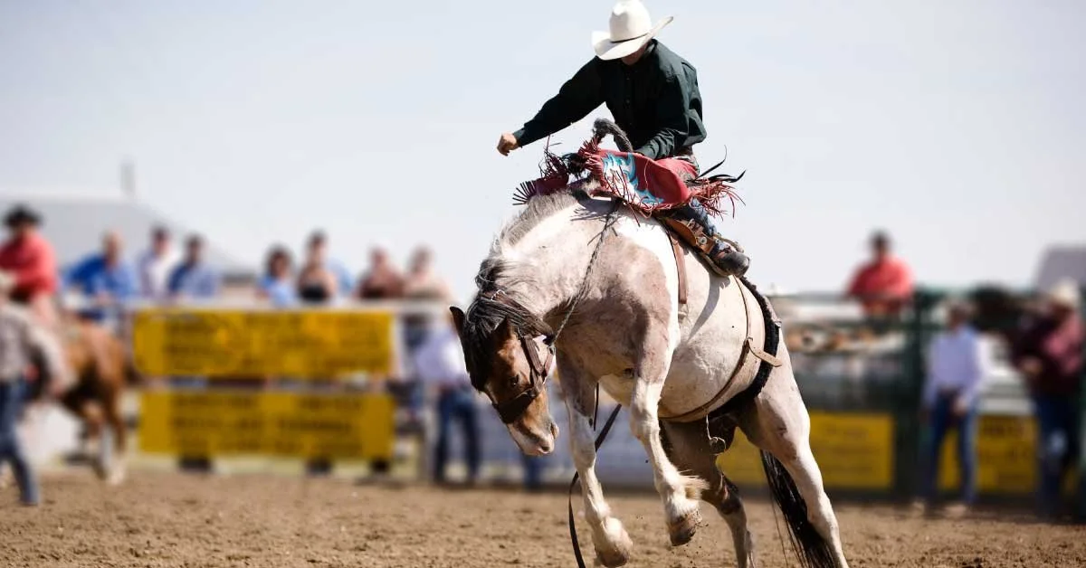 Official Rodeo Tickets — Experience the Thrill of the Sacramento County ...
