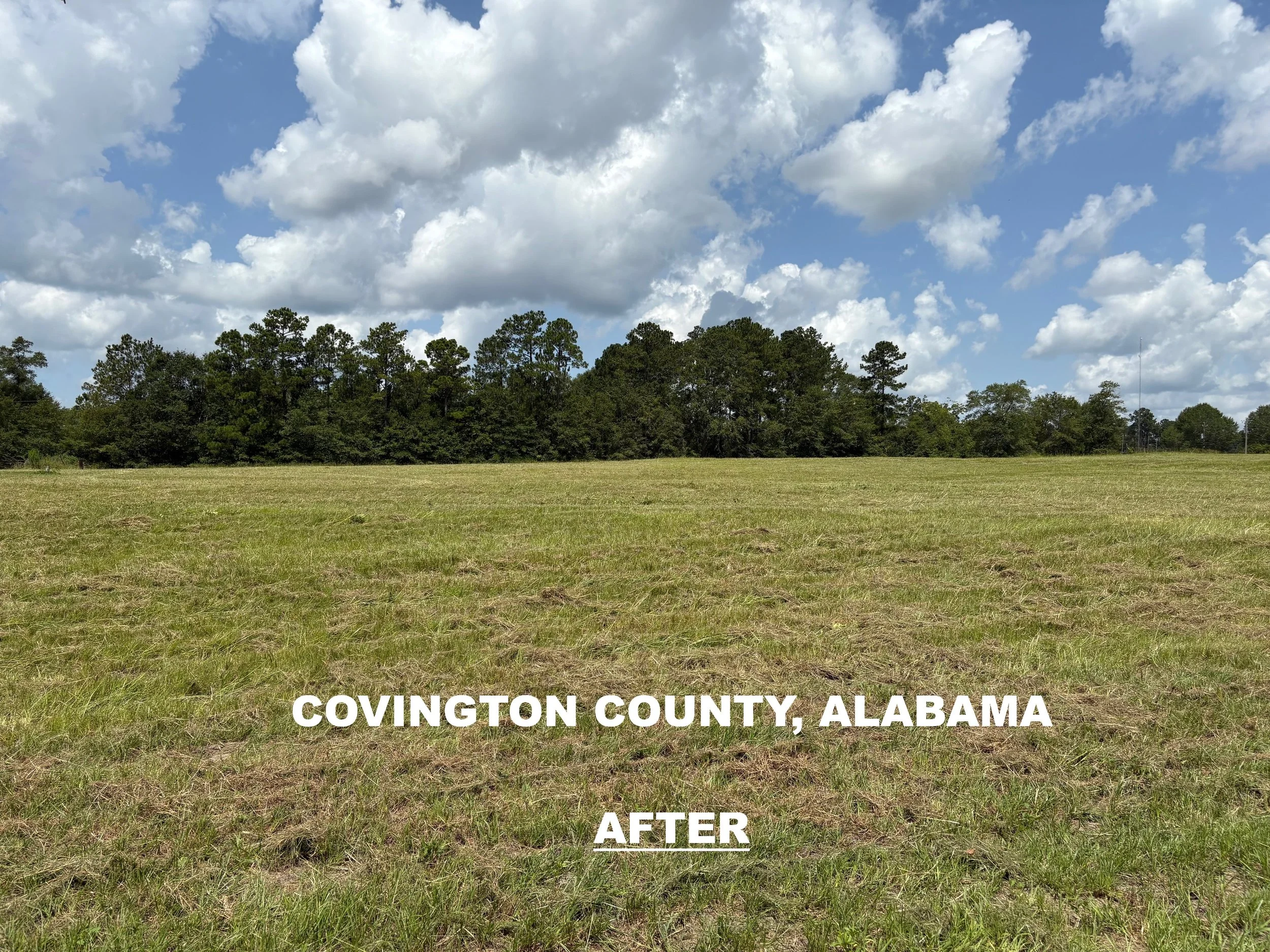 COVINGTON COUNTY ALABAMA BRUSH MOWING AND BUSH HOGGING JOB AFTER PHOTO.jpg