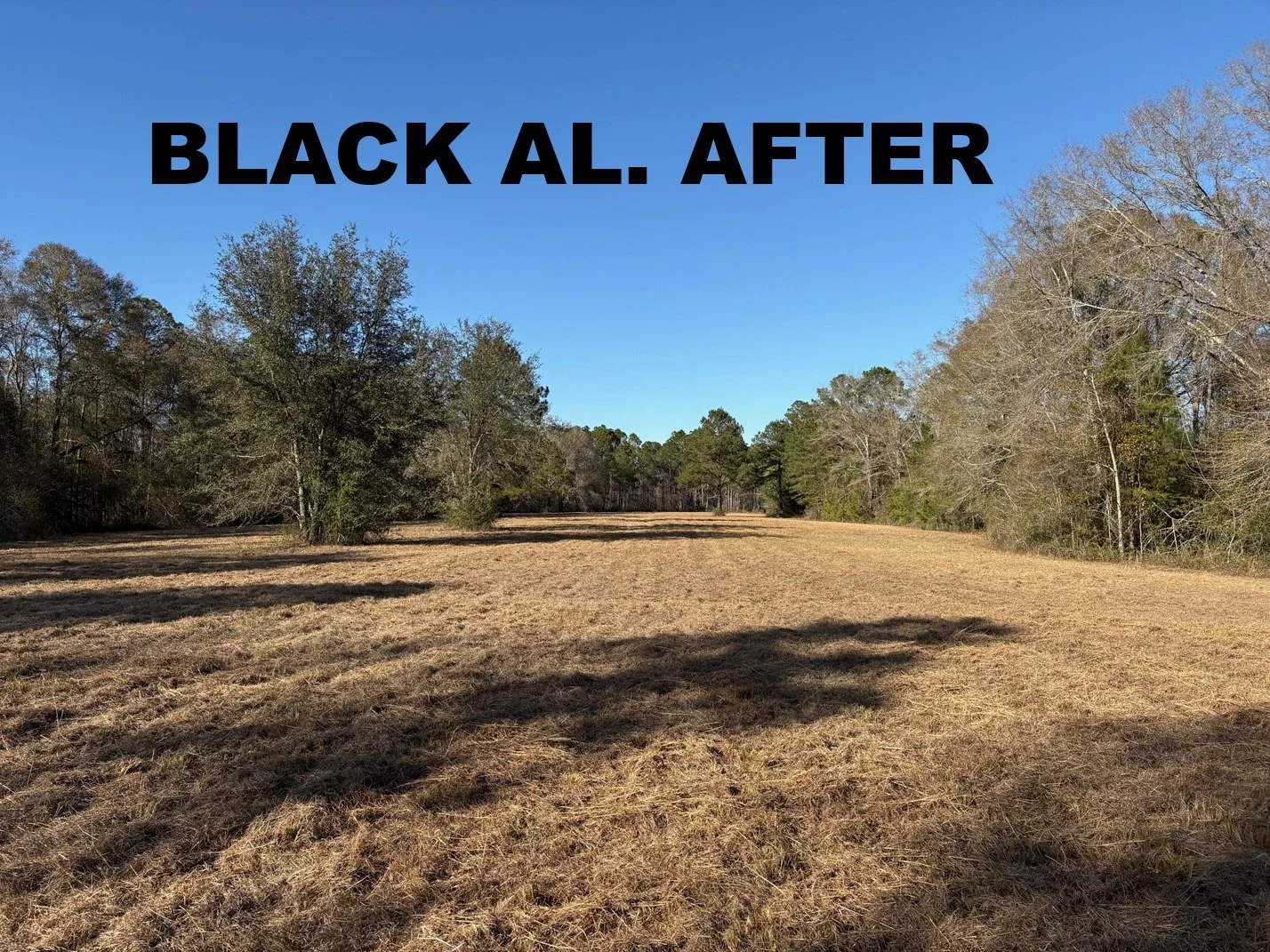 BLACK ALABAMA BUSH HOG MOWING JOB AFTER PHOTO 2.jpg