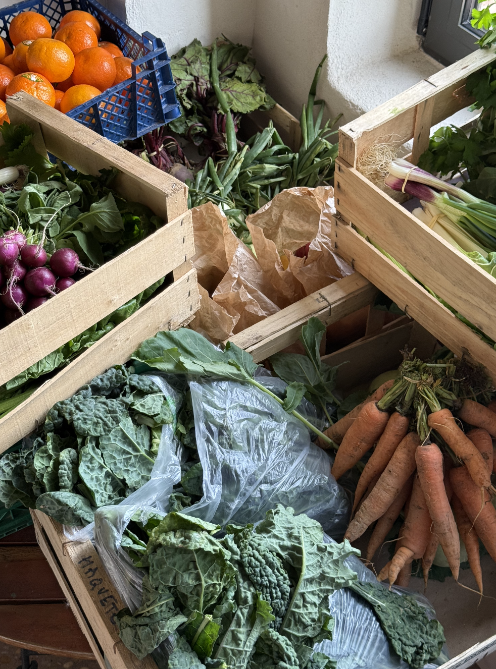 Légumes frais tels que des oignons, des carottes, de la laitue, des radis, des oranges, et des poireaux dans des caisses en bois.
