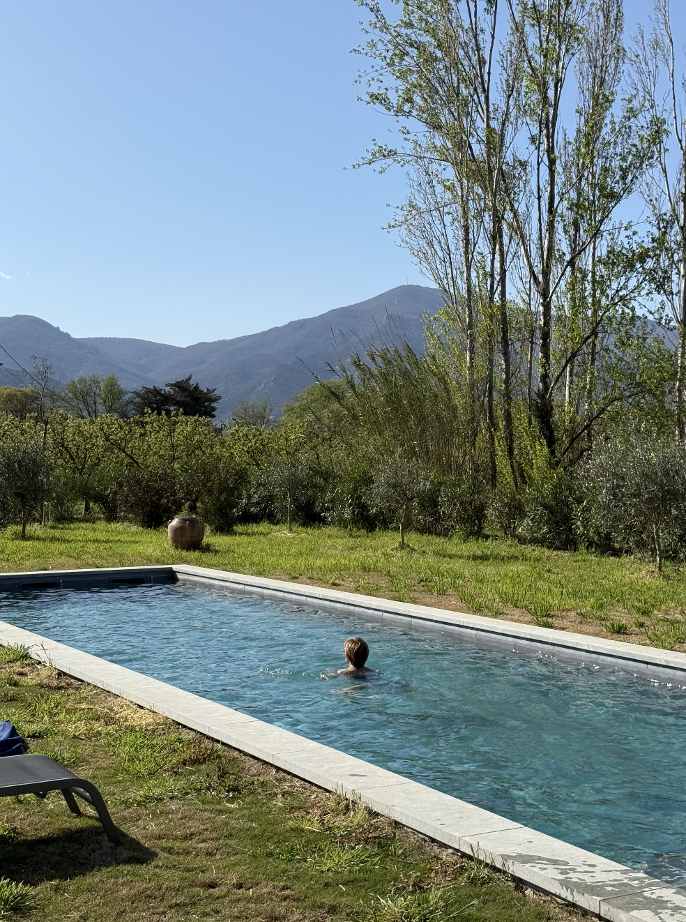 Une personne nage dans une piscine à l'extérieur, entourée de verdure et de montagnes en arrière-plan, avec un ciel clair et ensoleillé.