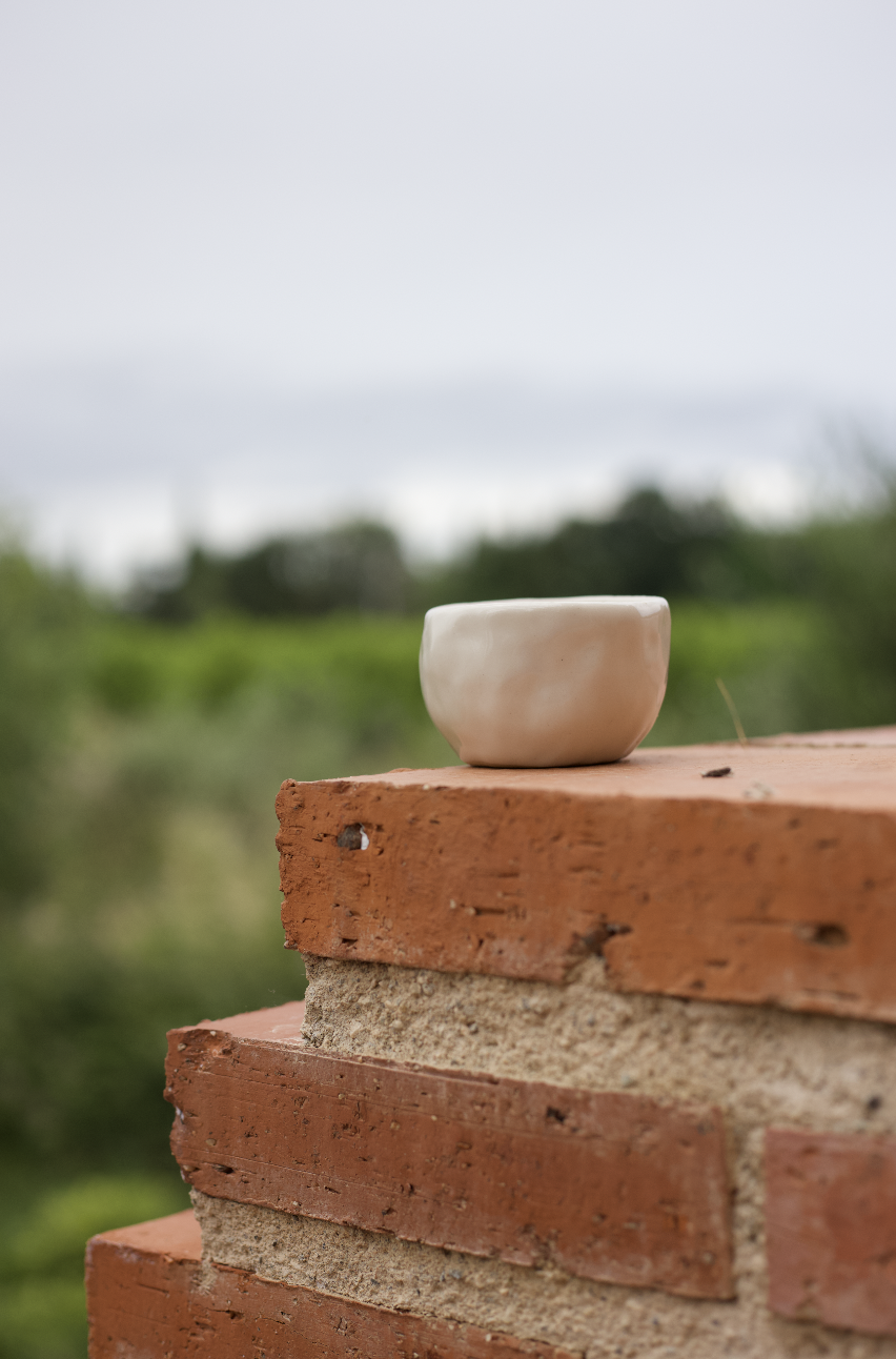 Tasse blanche en céramique posée sur une pile de briques rouges avec un fond naturel de verdure et ciel nuageux.