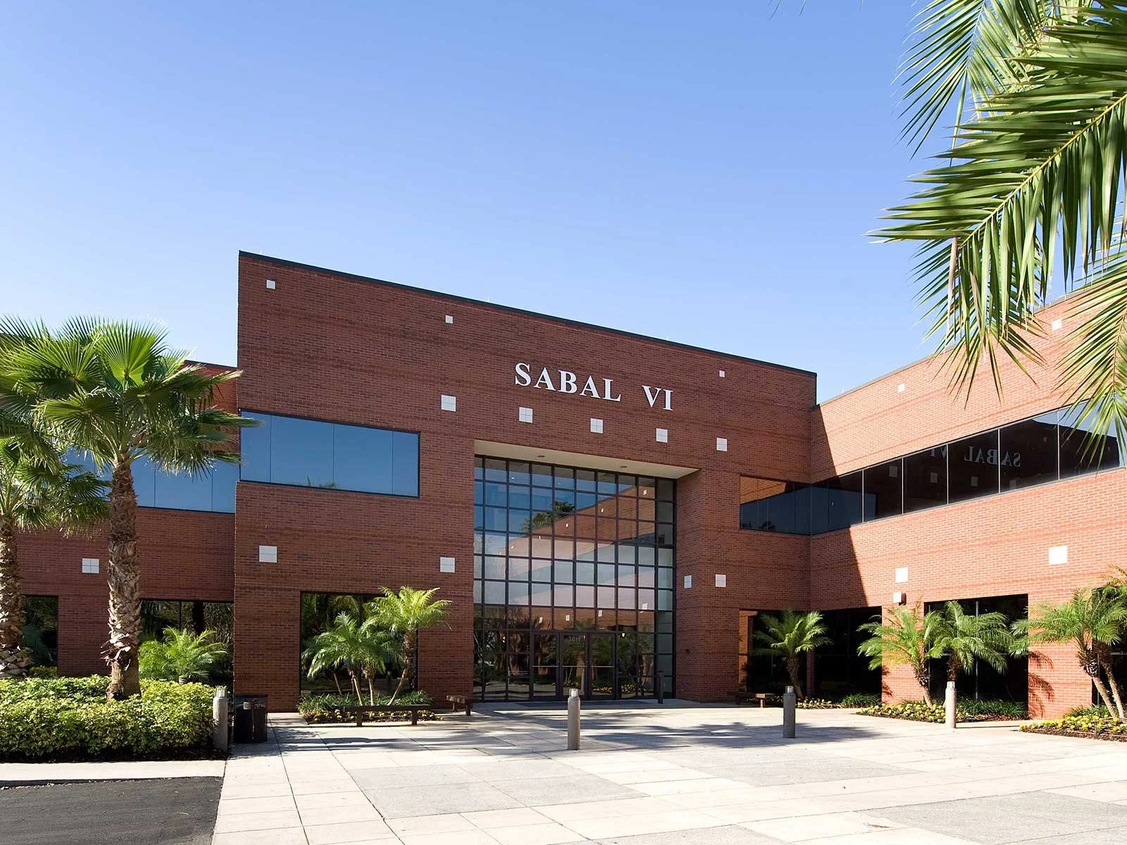 Sabal 6.jpg