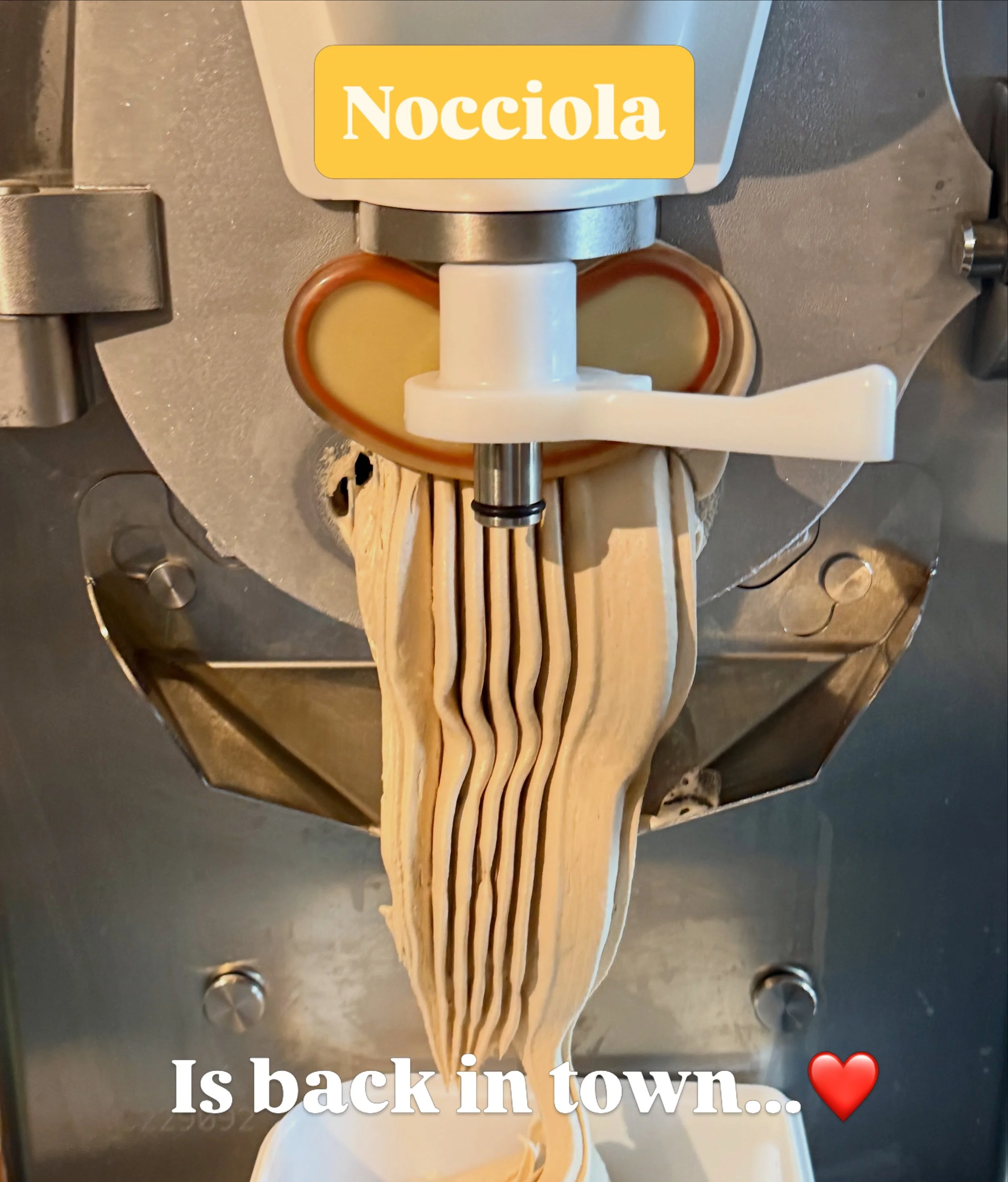 Using the very best hazelnuts from Piedmont we bring you one of our absolute favourite flavours - Nocciola! 🤗

#salcombe #gelato #hazelnut #luxury #taste