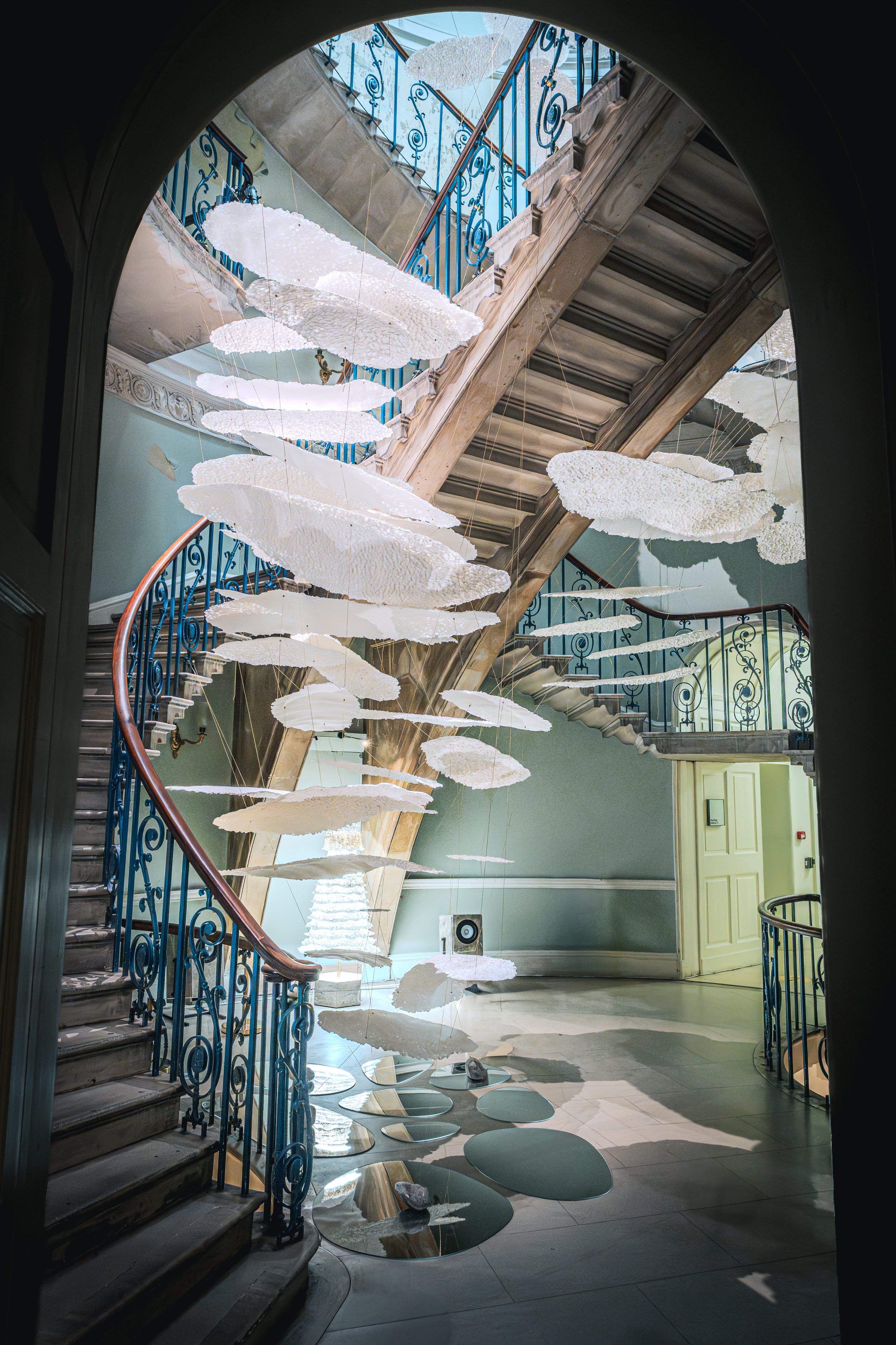 Compressed image.jpg