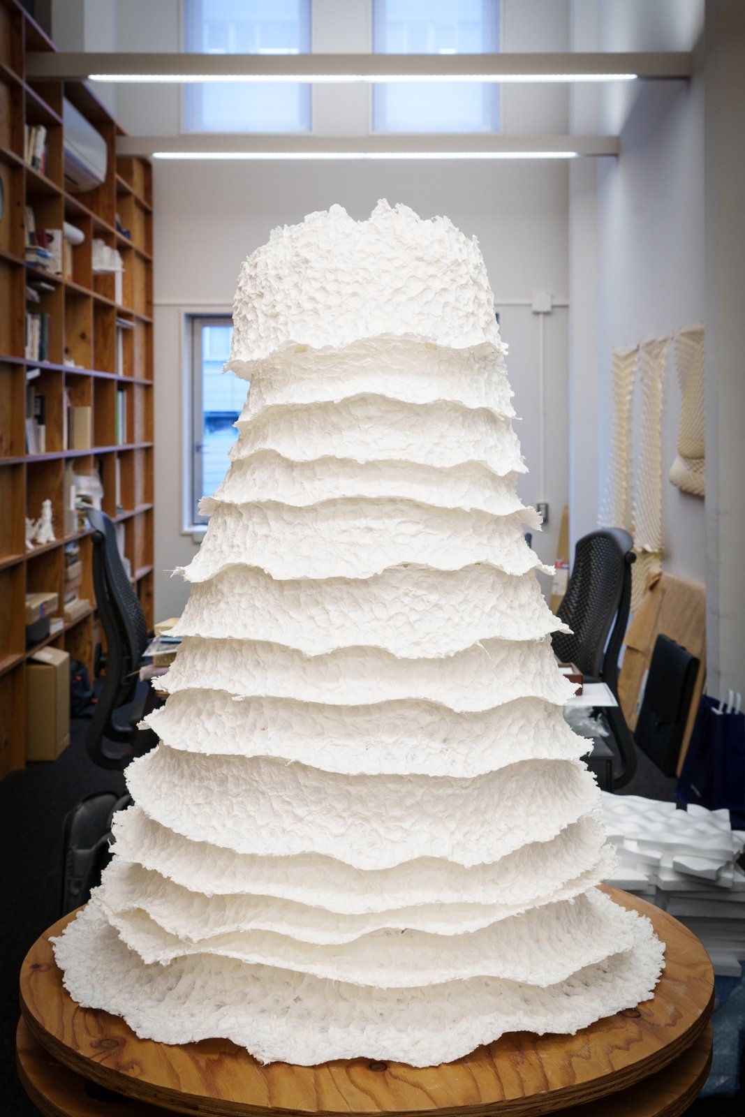 Photo of Dress in Lab.jpg