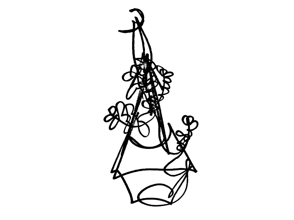 hanging succulent.png