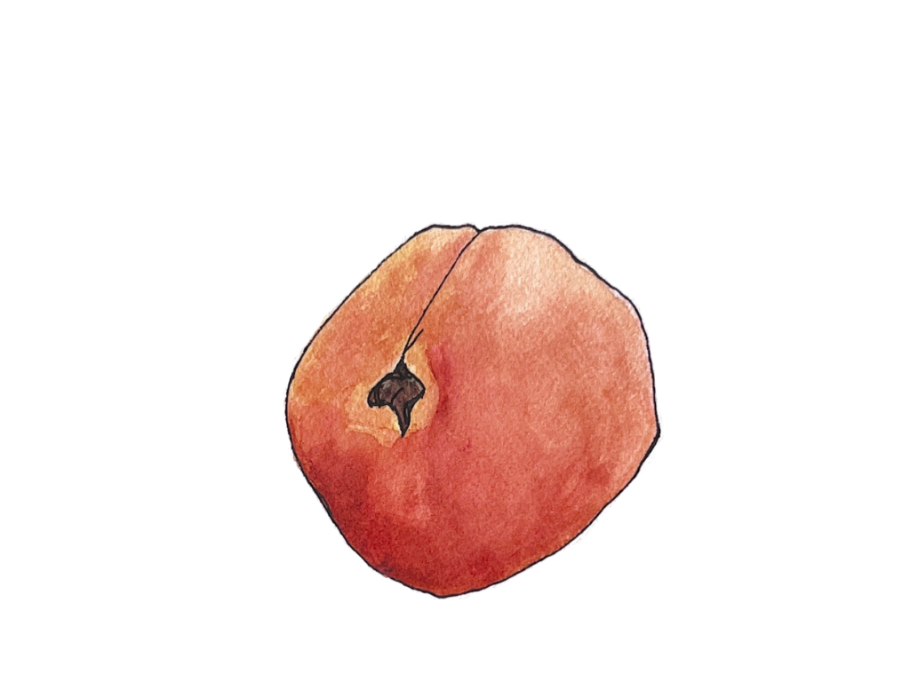 peach.png