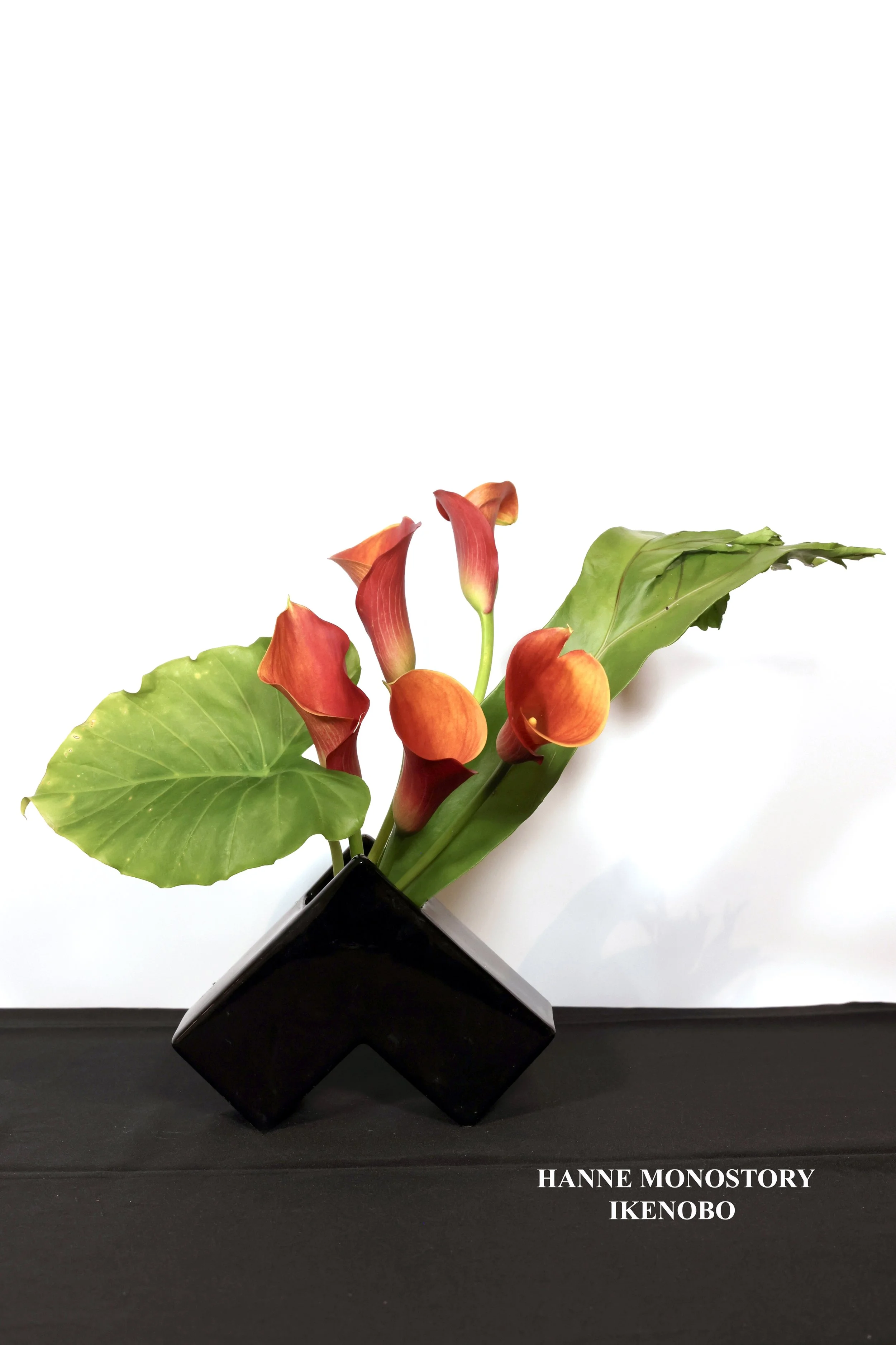 Stefania Pifferi - IKEBANA 2026 -346 copy.jpg