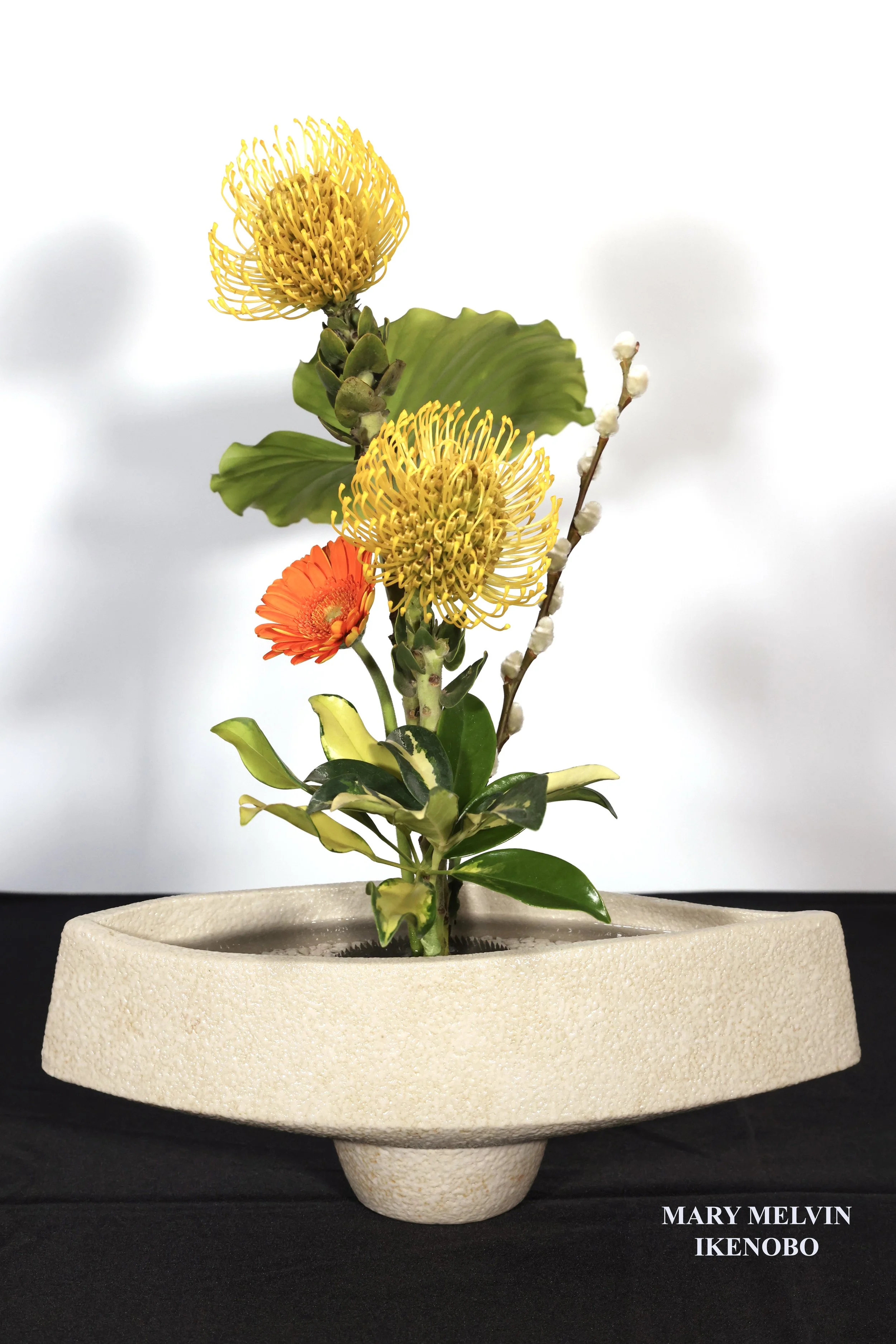Stefania Pifferi - IKEBANA 2026 -16 copy.jpg