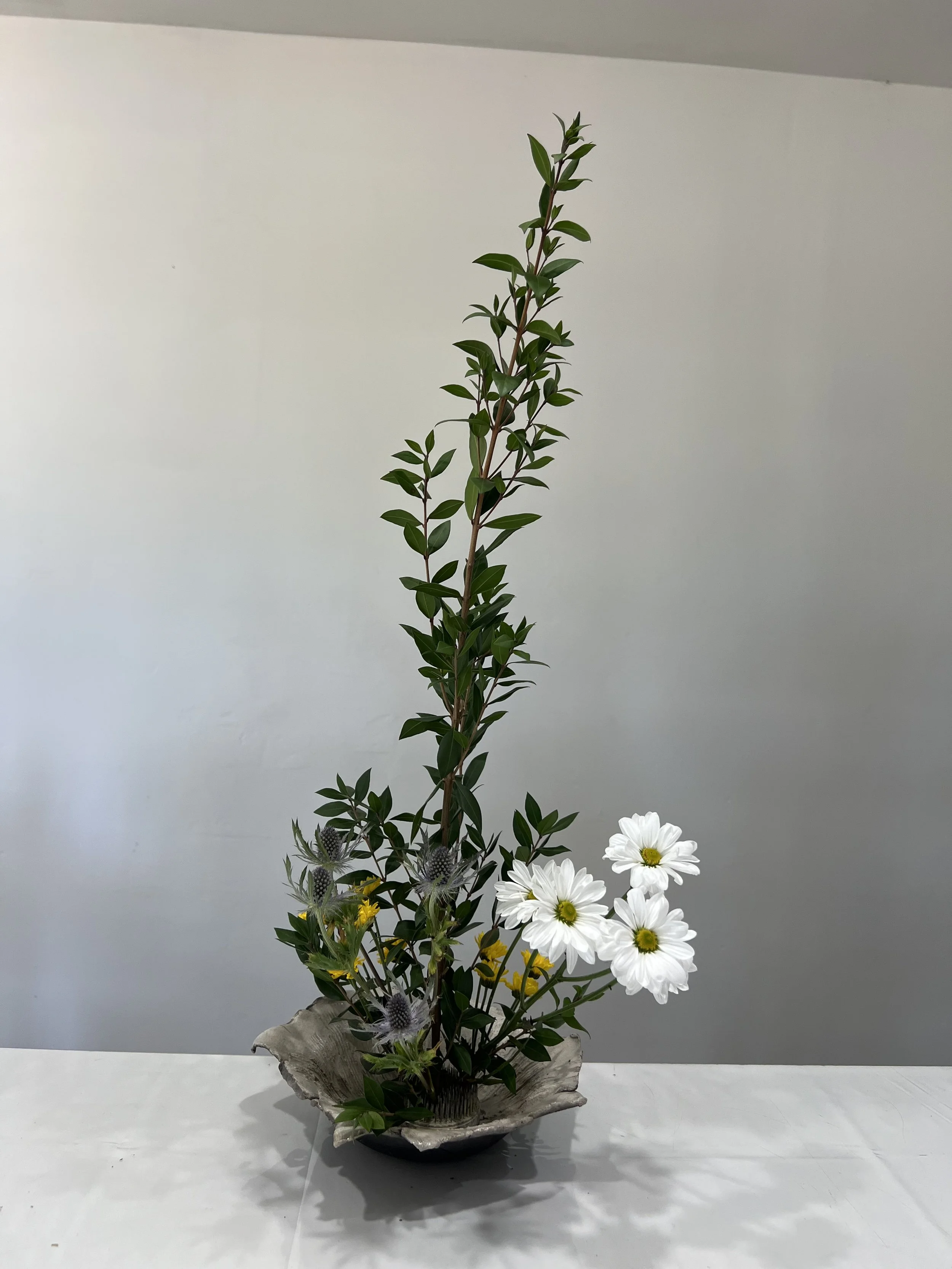 IMG_3781.jpeg