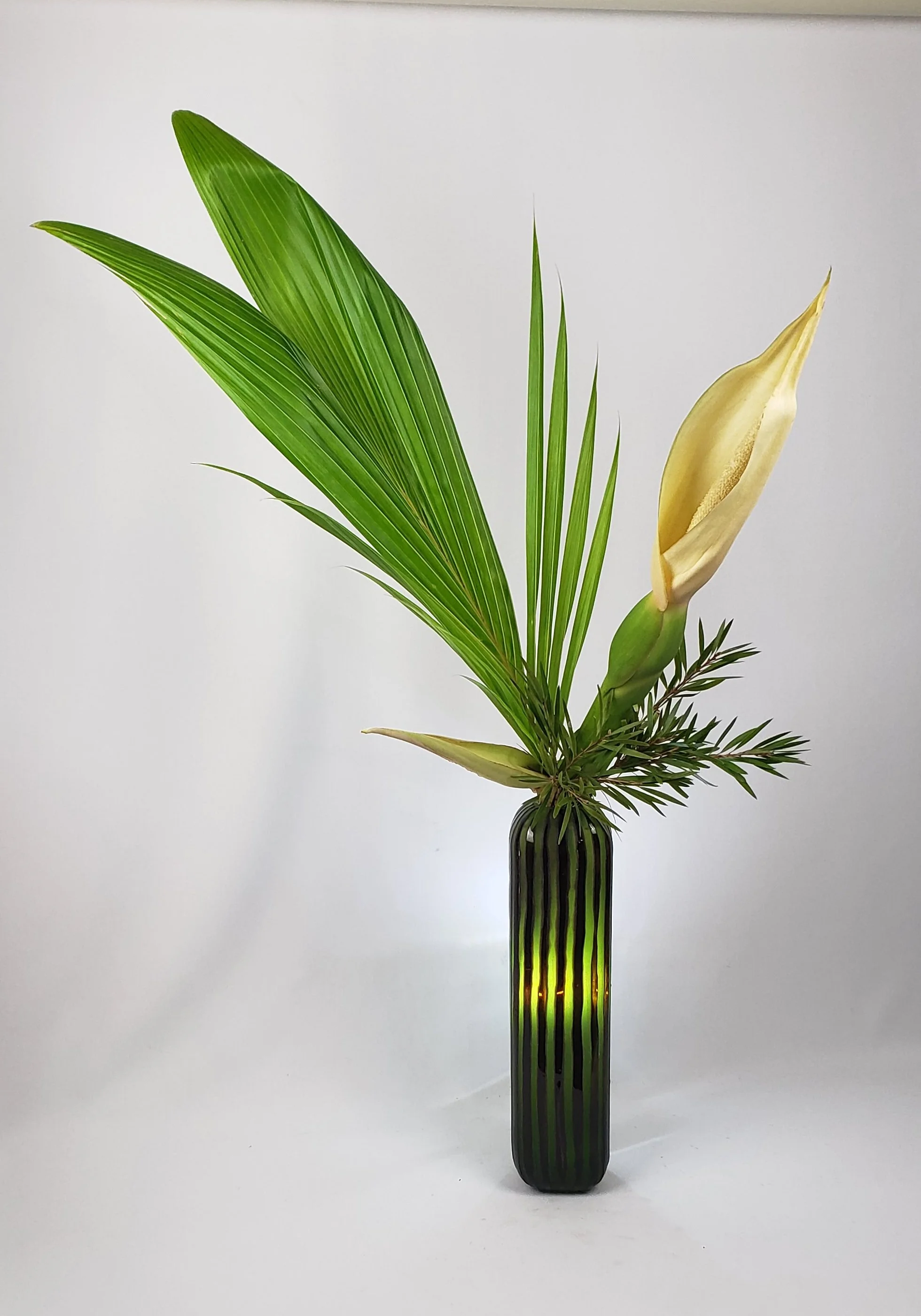 20201208_120945.jpg