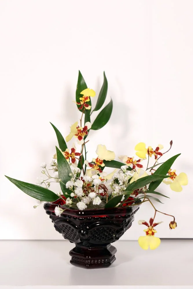 Stefania-Pifferi---IKEBANA-2026--37.jpg