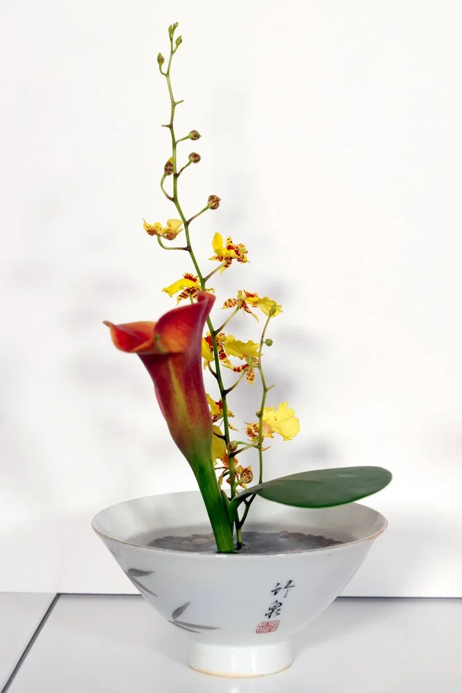 Stefania-Pifferi---IKEBANA-2026--42.jpg