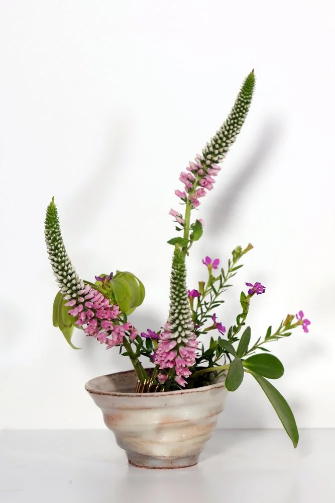 Stefania-Pifferi---IKEBANA-2026--54.jpg