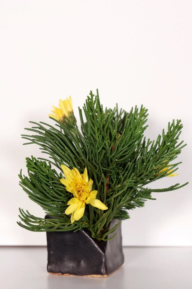 Stefania-Pifferi---IKEBANA-2026--58.jpg