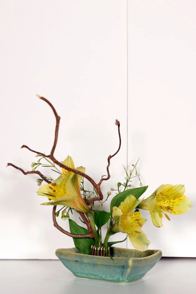 Stefania-Pifferi---IKEBANA-2026--60.jpg