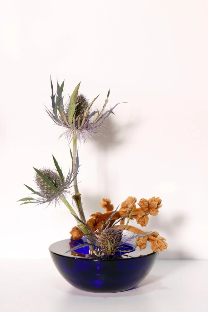 Stefania-Pifferi---IKEBANA-2026--134.jpg