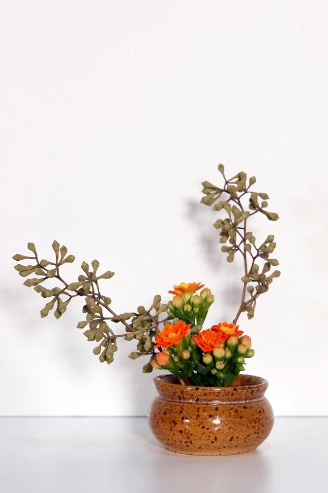 Stefania-Pifferi---IKEBANA-2026--136.jpg