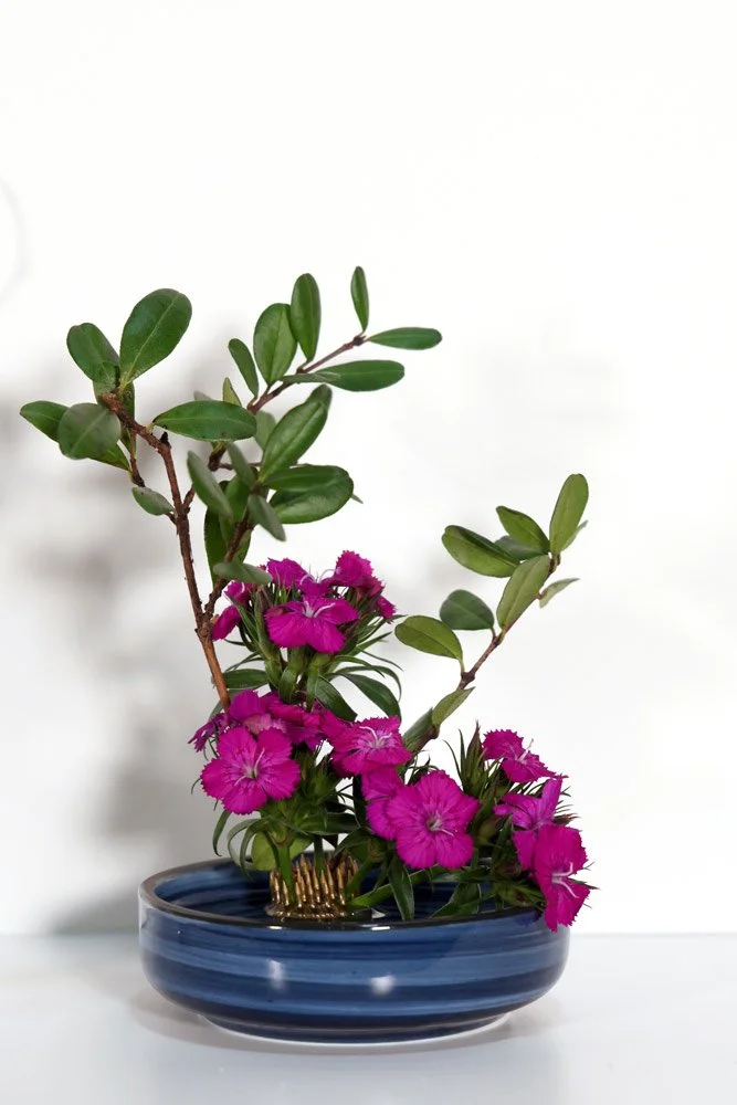 Stefania-Pifferi---IKEBANA-2026--137.jpg