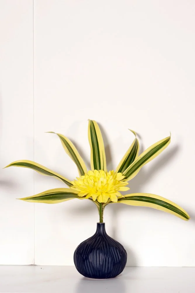 Stefania-Pifferi---IKEBANA-2026--146.jpg