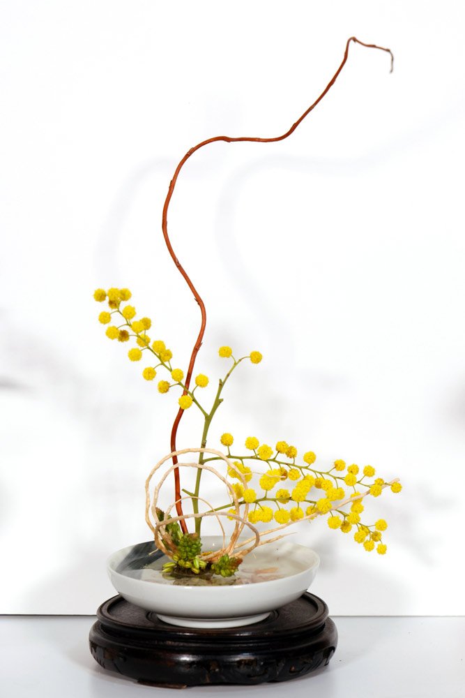 Stefania-Pifferi---IKEBANA-2026--151.jpg