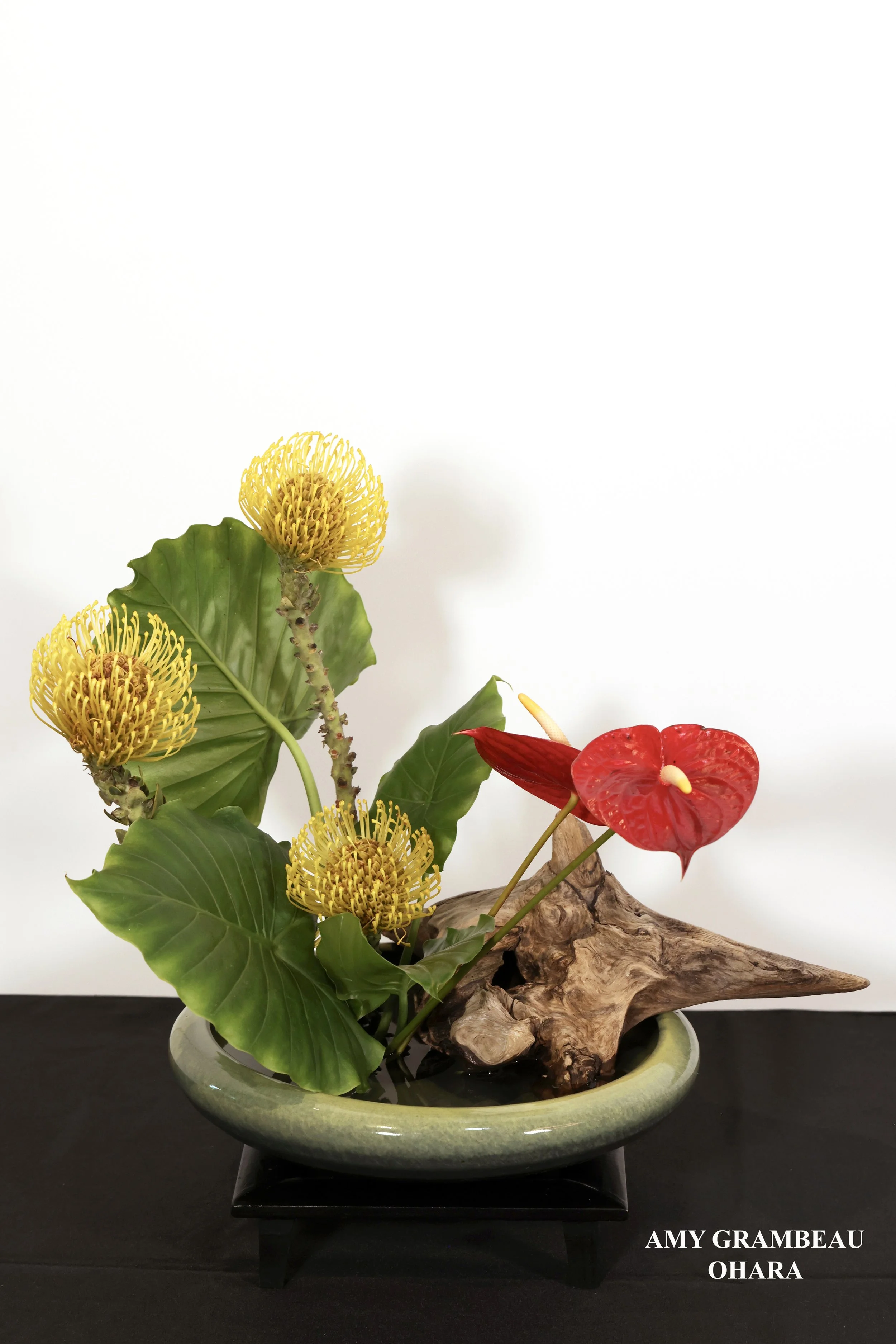 Stefania Pifferi - IKEBANA 2026 -420 copy.jpg