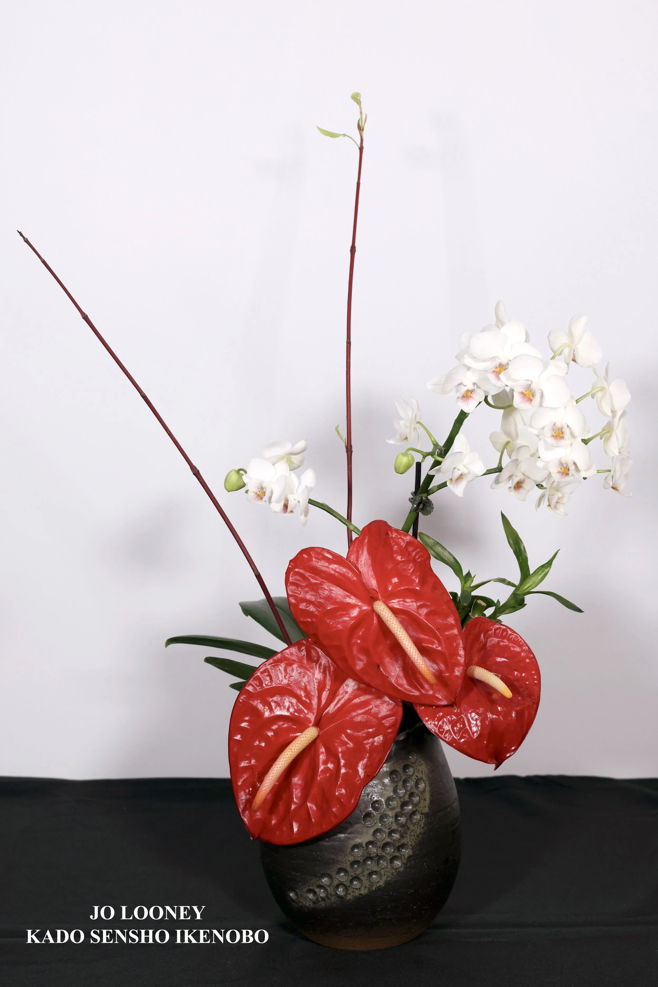 Stefania Pifferi - IKEBANA 2026 -555 copy.jpg