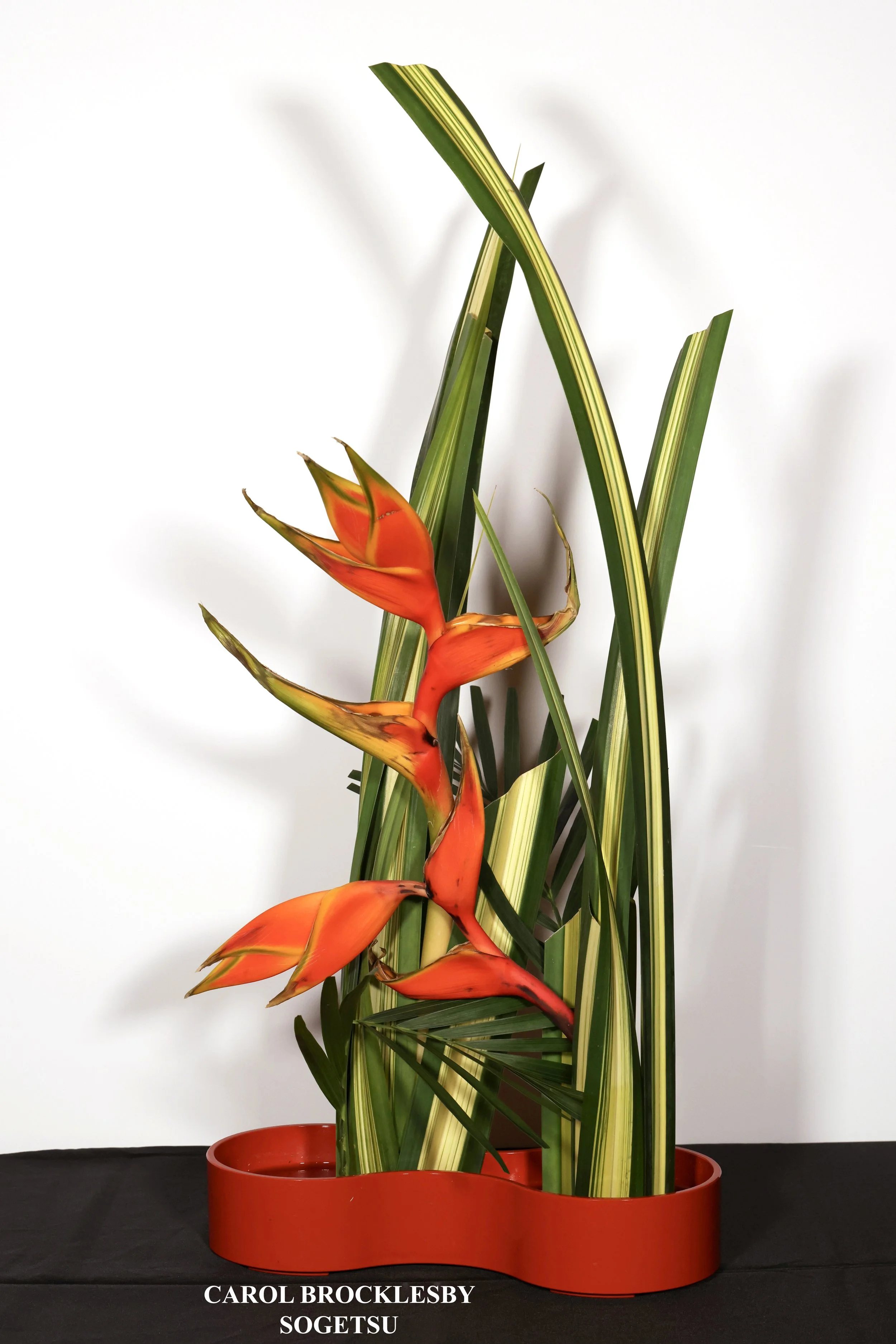 Stefania Pifferi - IKEBANA 2026 -672 copy.jpg