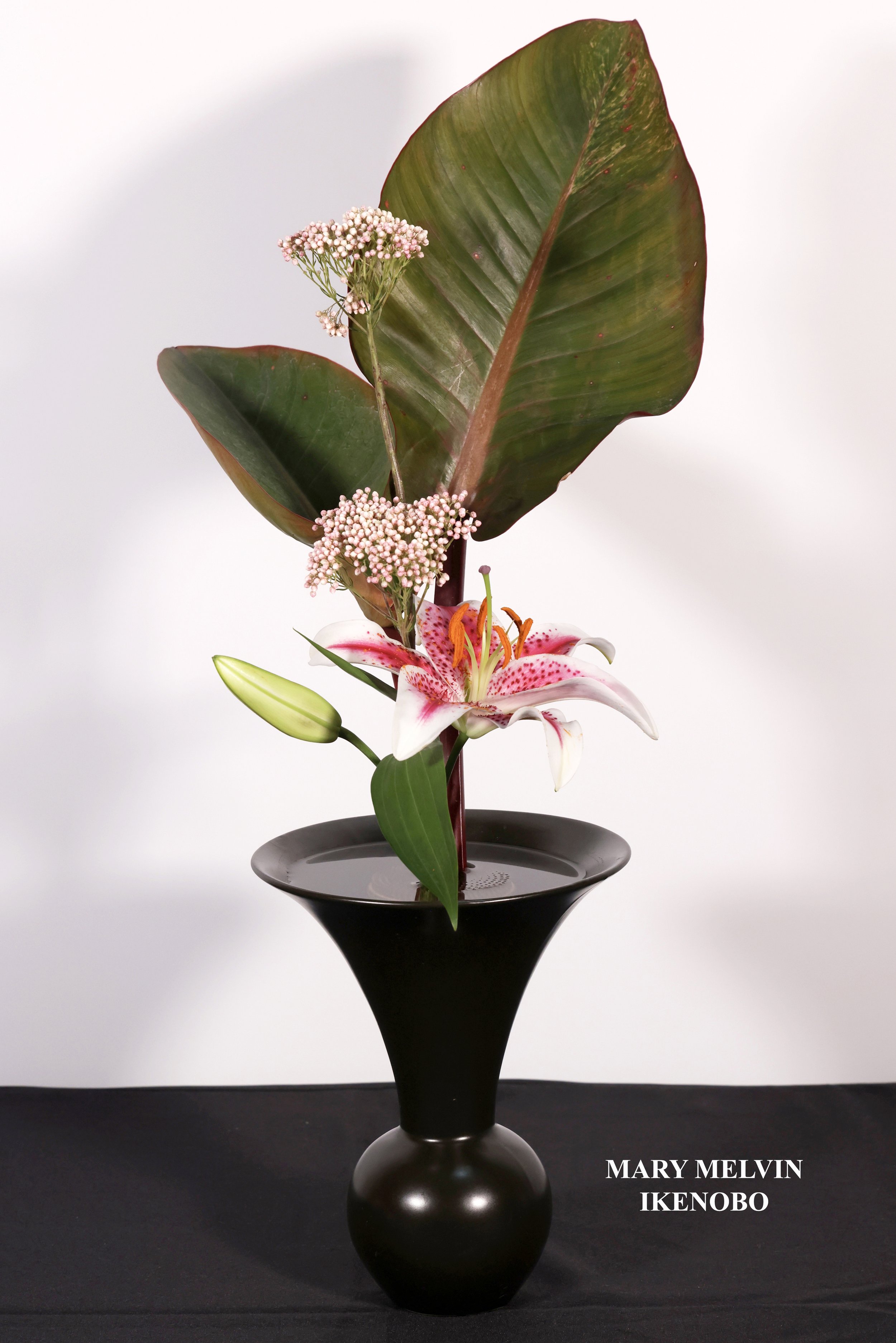Stefania Pifferi - IKEBANA 2026 -28 copy.jpg
