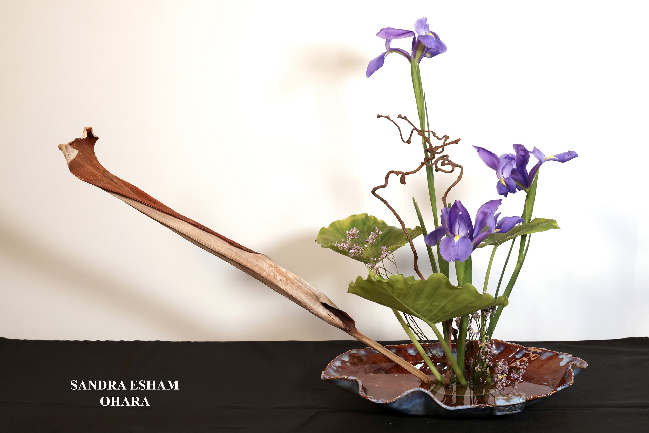 Stefania Pifferi - IKEBANA 2026 -257 copy.jpg