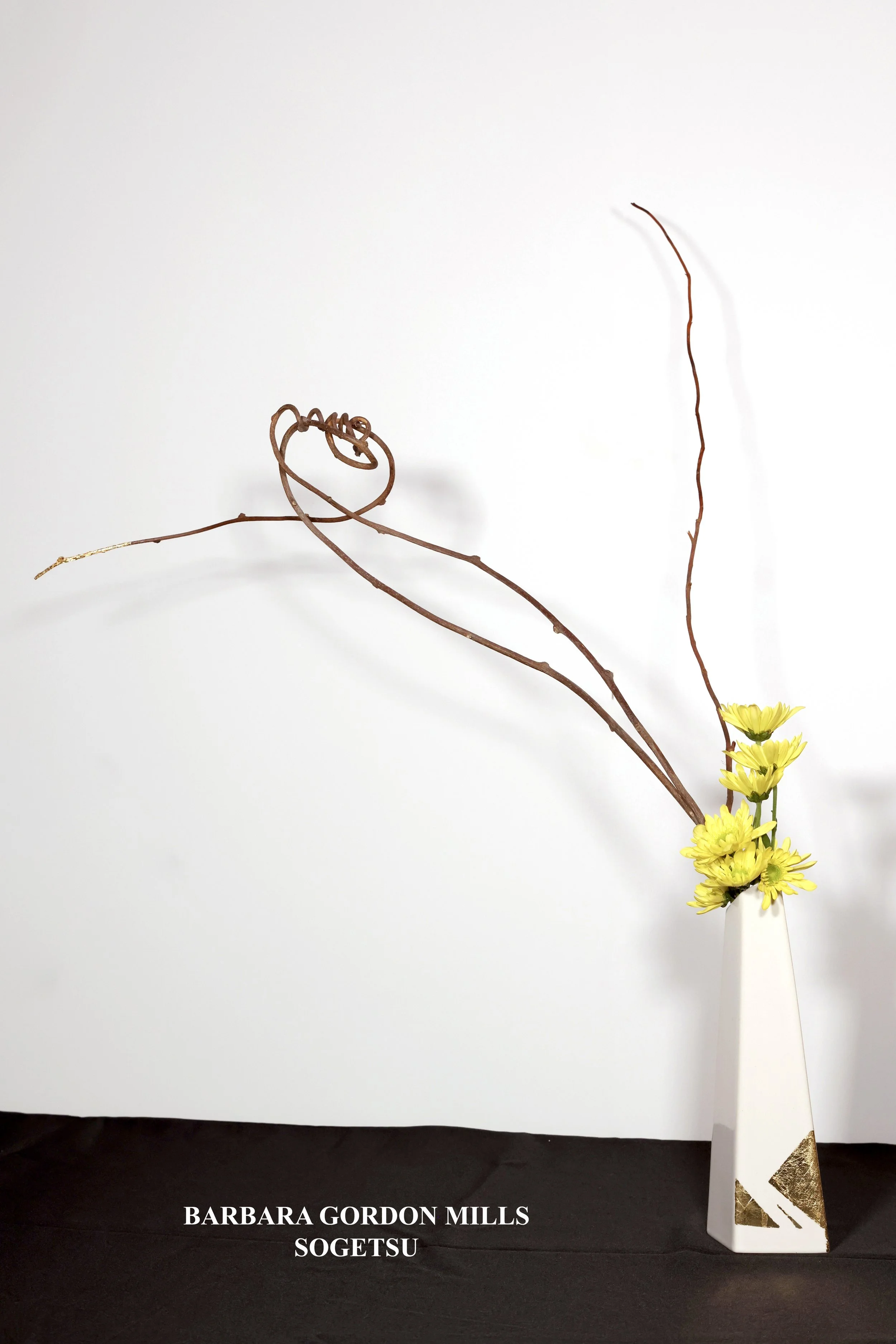 Stefania Pifferi - IKEBANA 2026 -791 copy.jpg