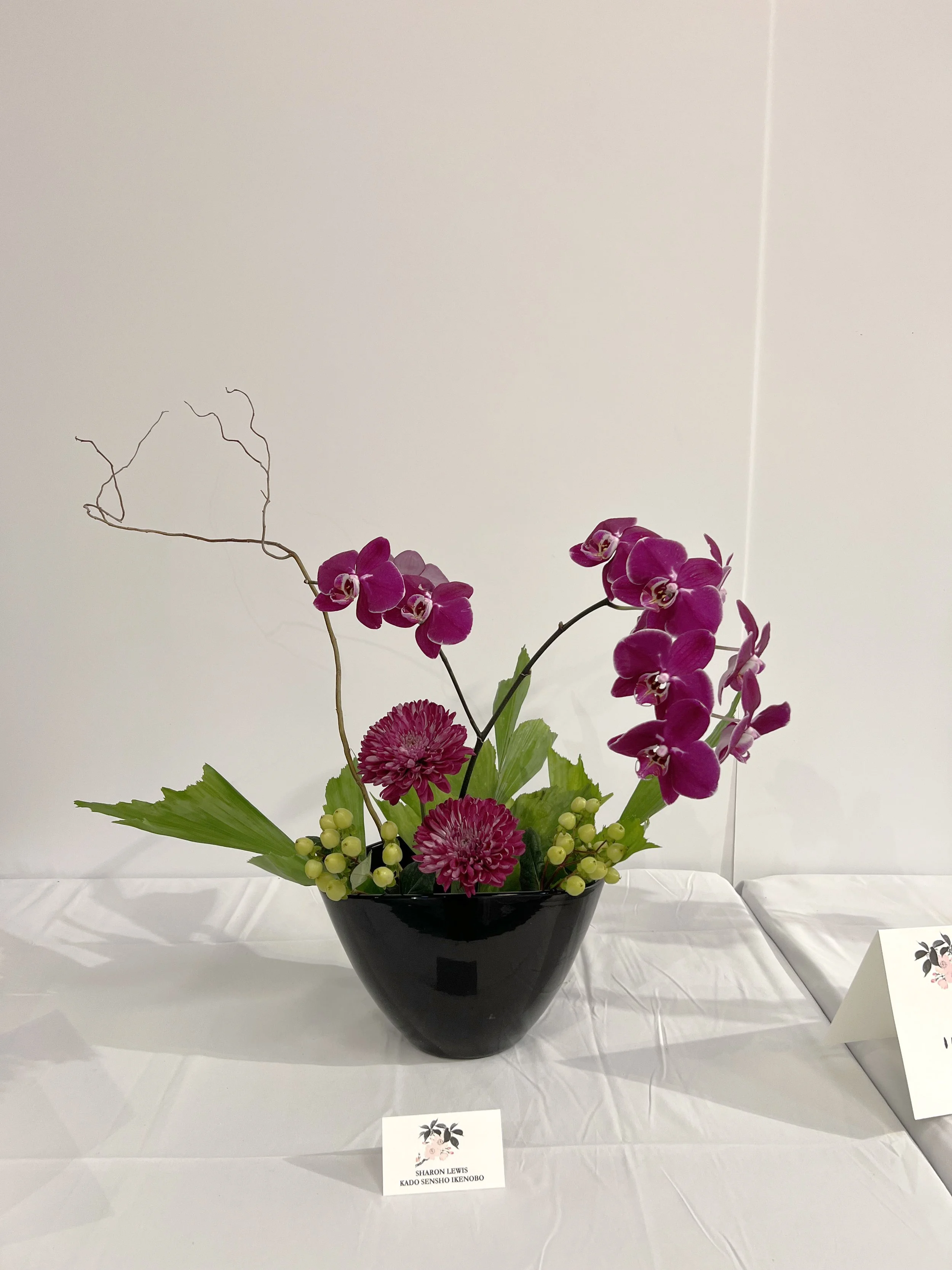 IMG_3220.jpeg