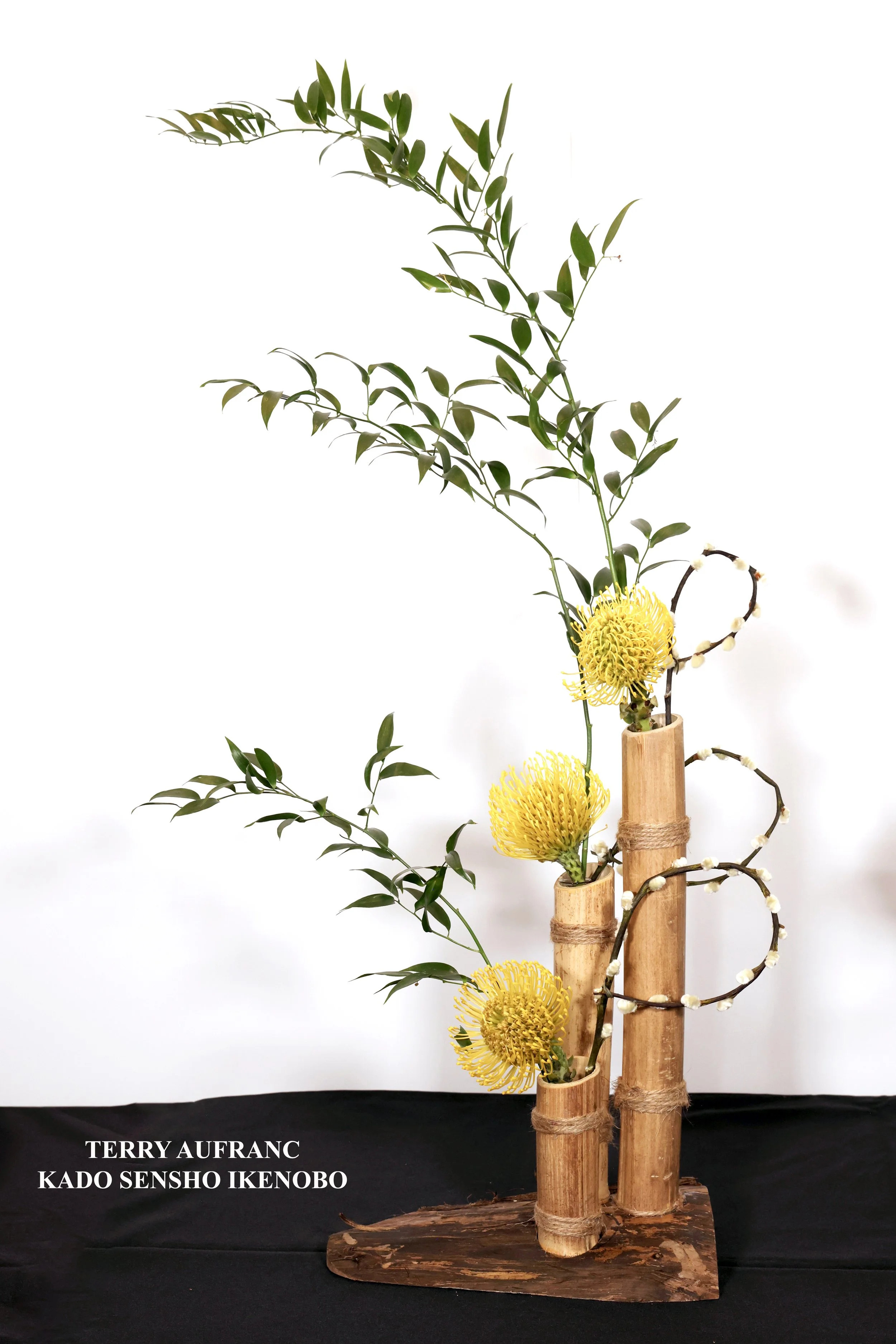 Stefania Pifferi - IKEBANA 2026 -484 copy.jpg