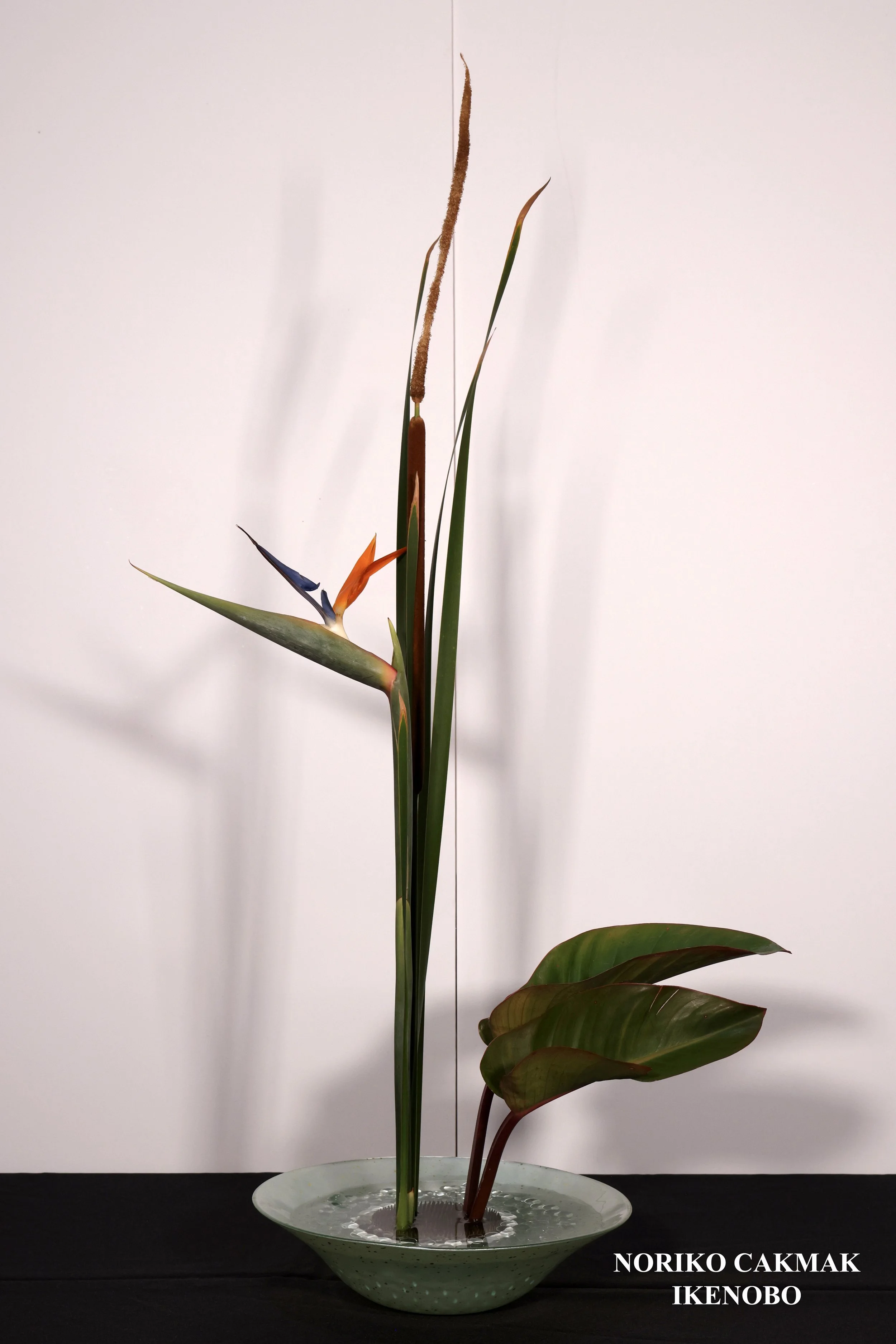 Stefania Pifferi - IKEBANA 2026 -188 copy.jpg