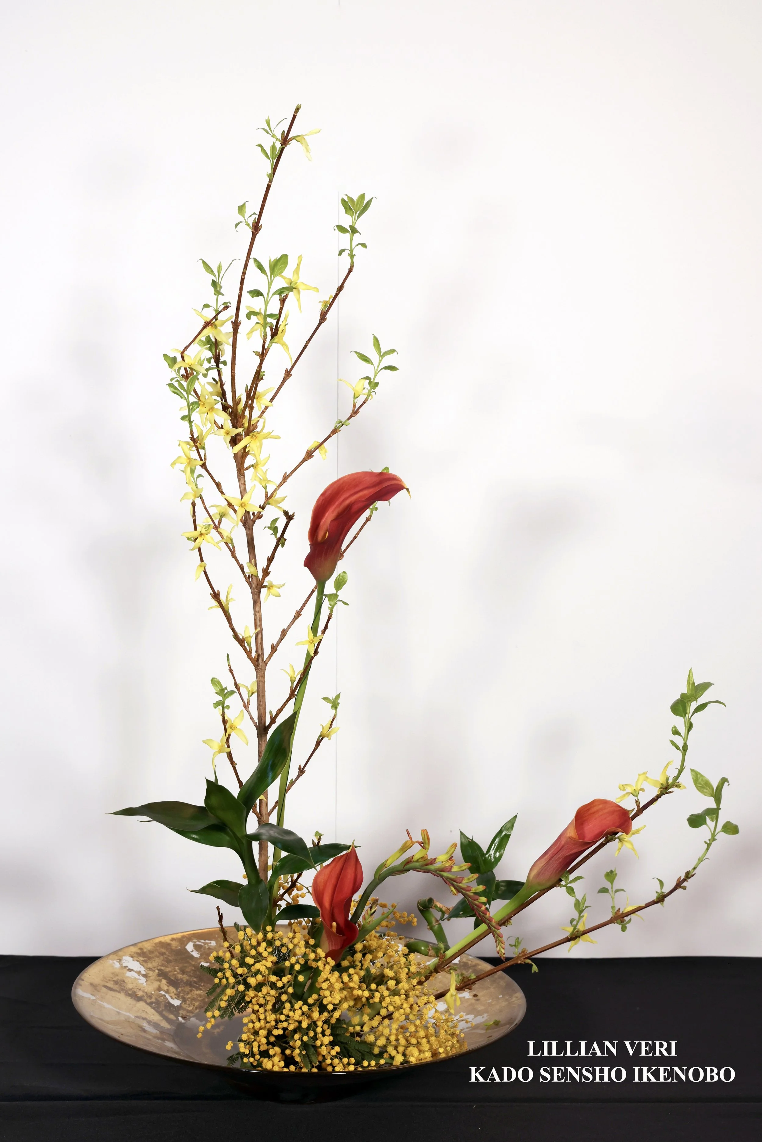 Stefania Pifferi - IKEBANA 2026 -544 copy.jpg