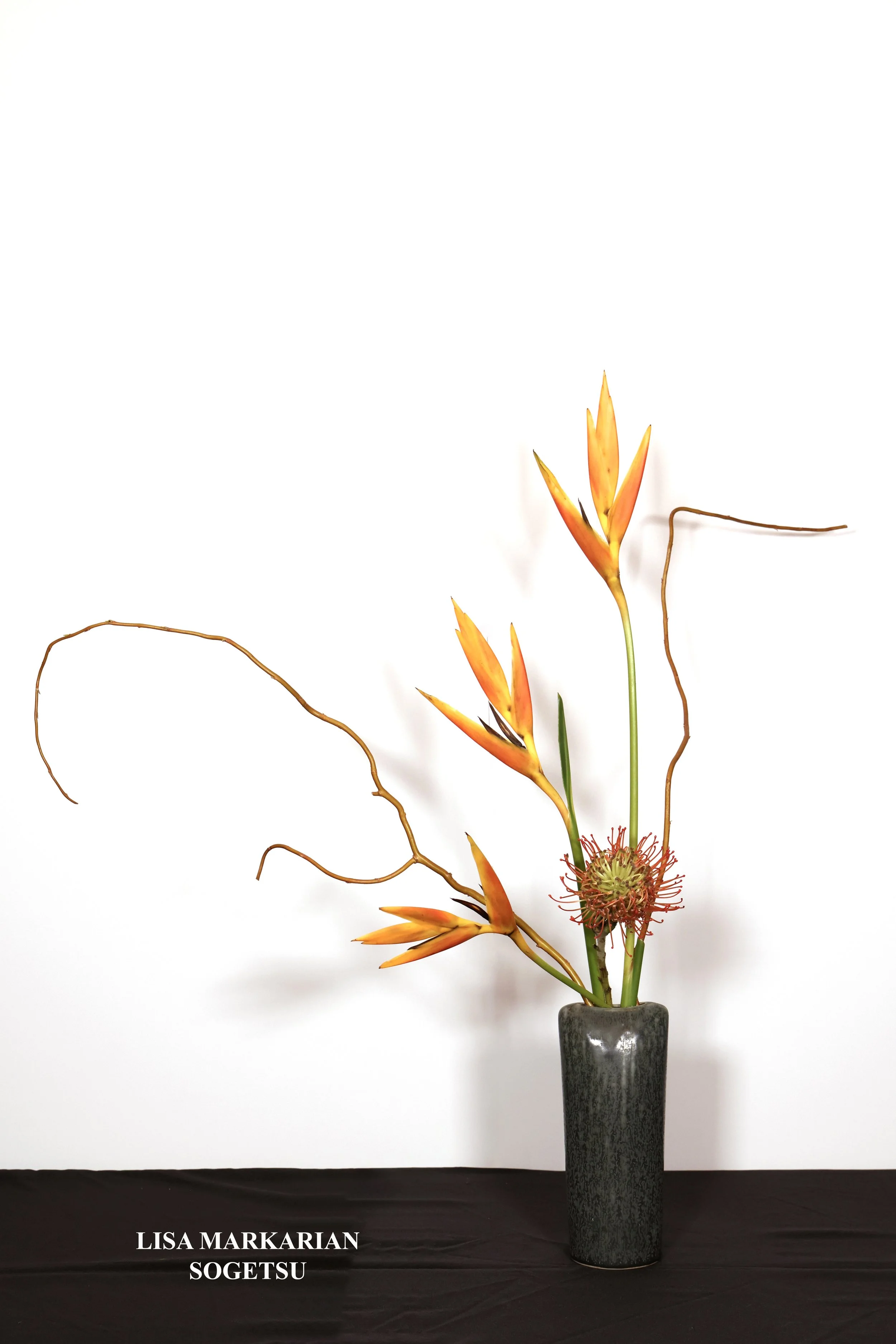 Stefania Pifferi - IKEBANA 2026 -827 copy.jpg