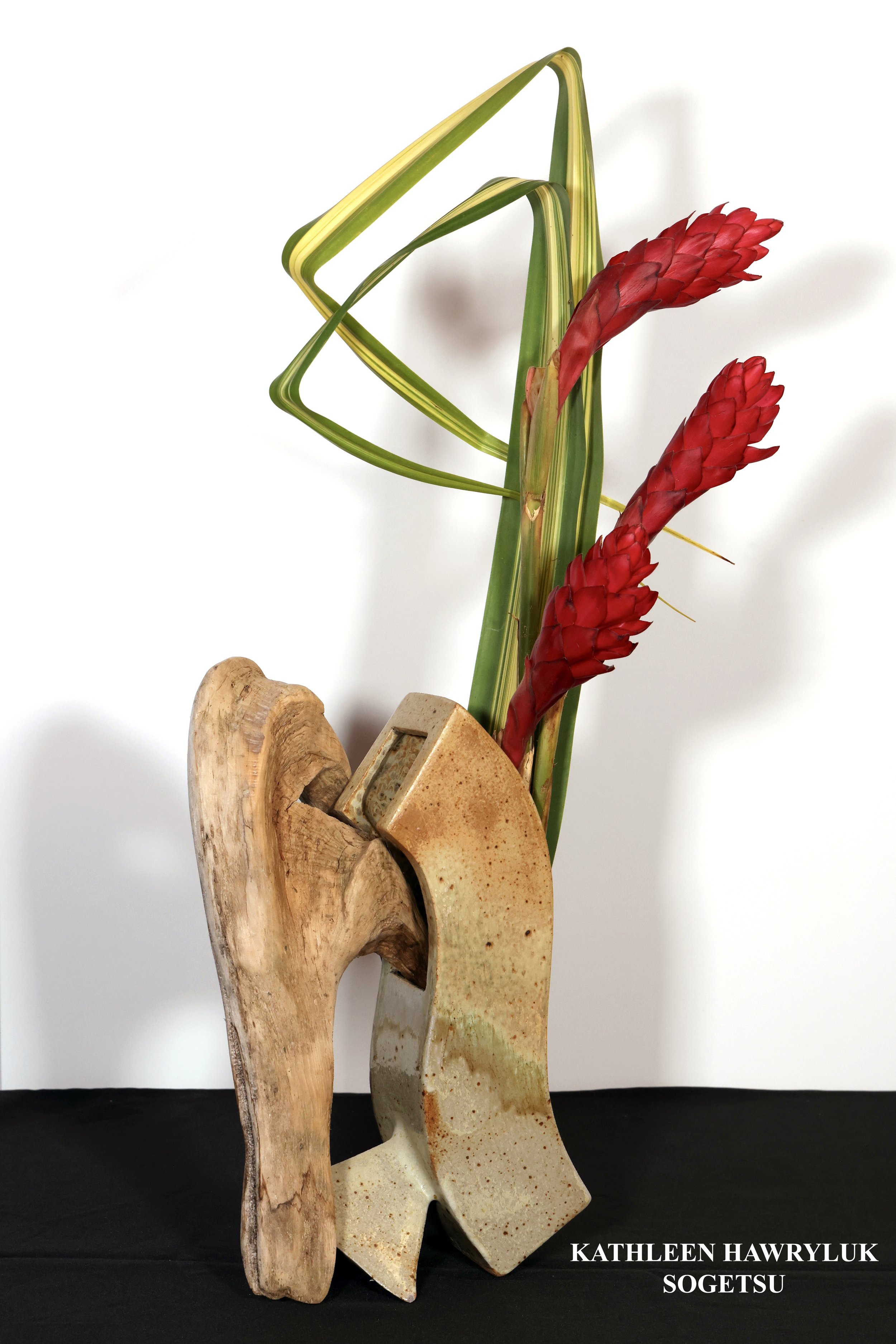 Stefania Pifferi - IKEBANA 2026 -685 copy.jpg