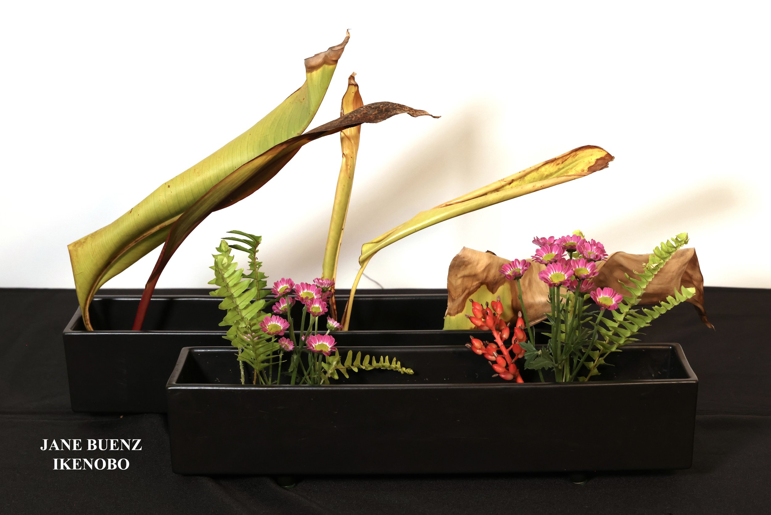 Stefania Pifferi - IKEBANA 2026 -251 copy.jpg