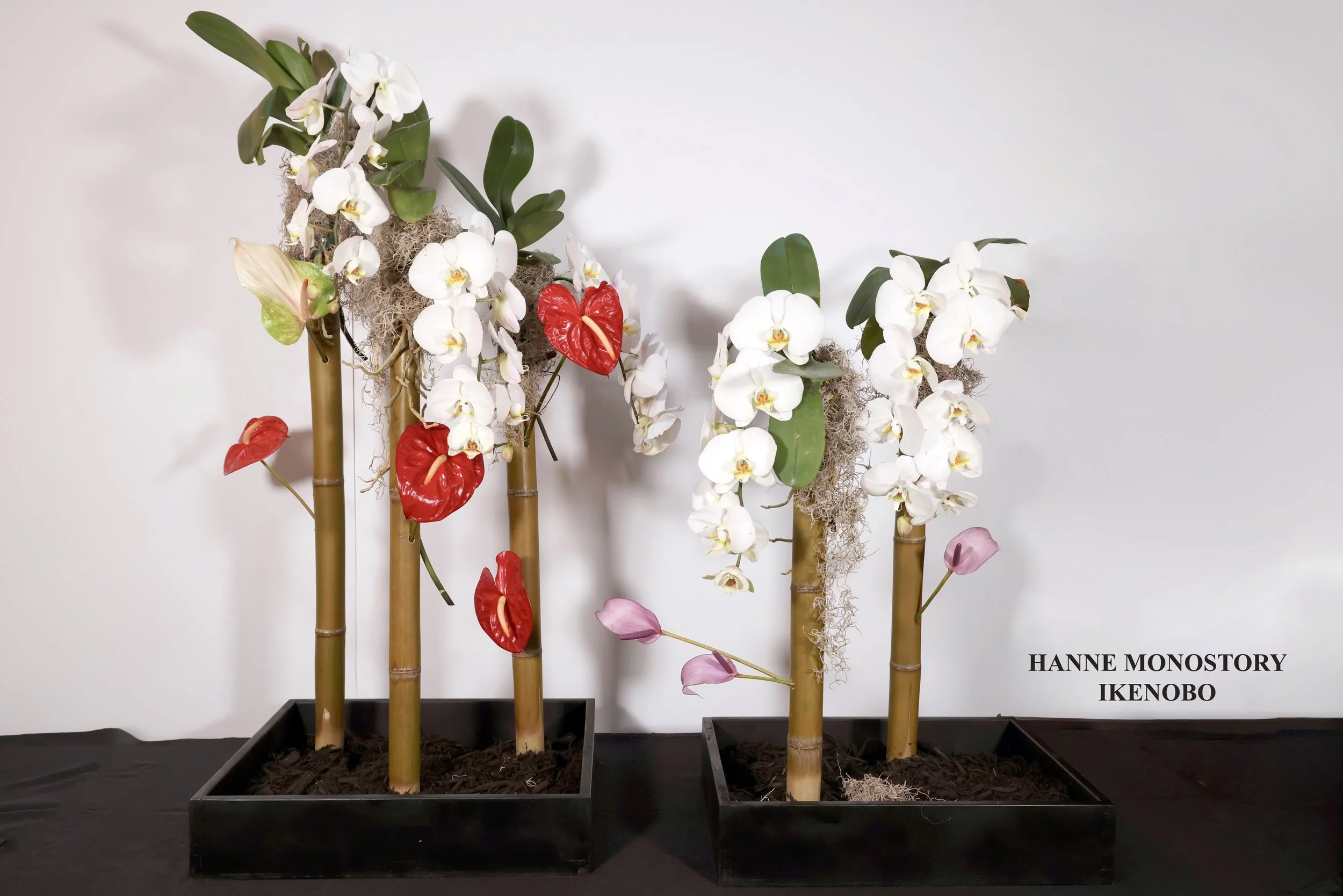 Stefania Pifferi - IKEBANA 2026 -426 copy.jpg