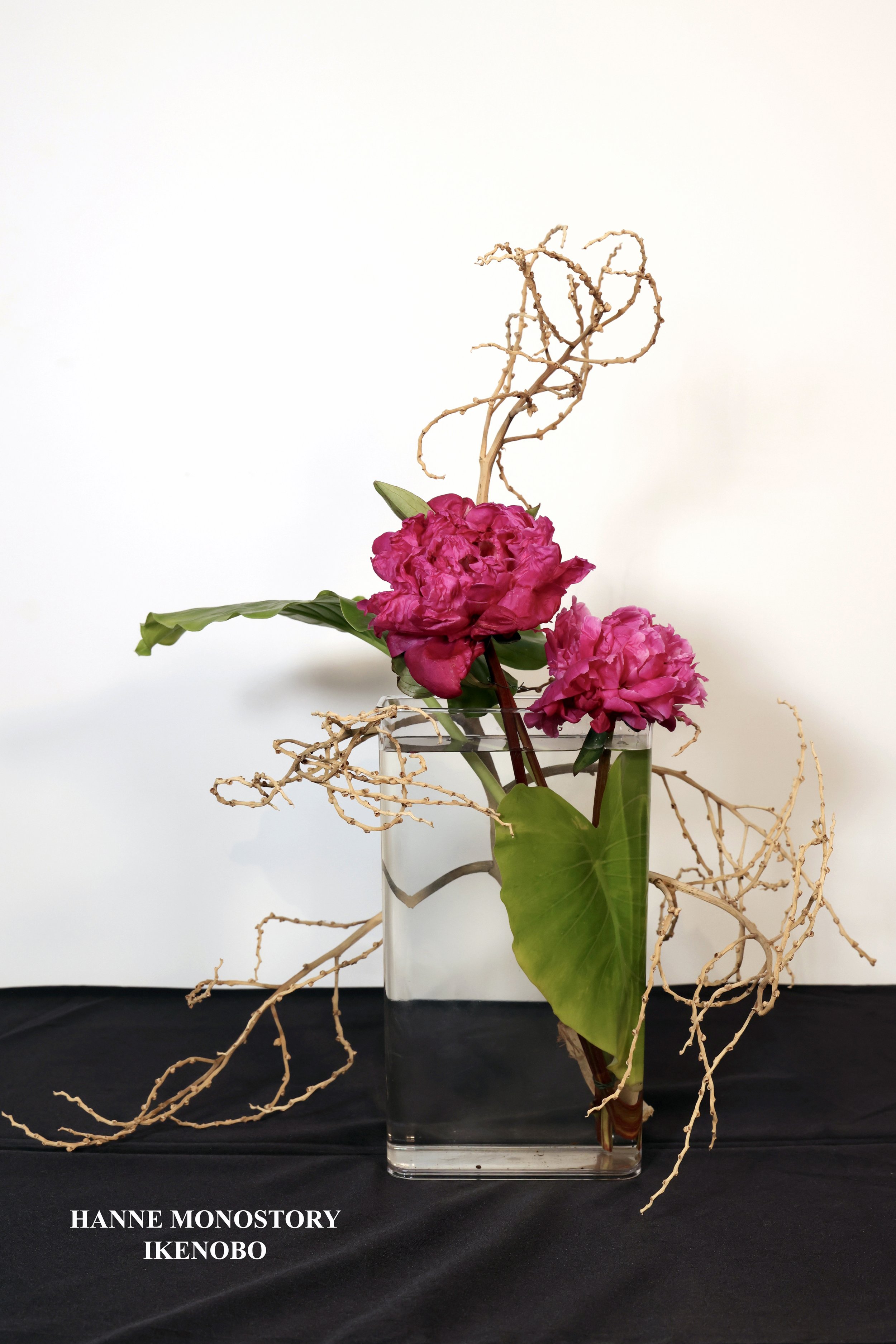 Stefania Pifferi - IKEBANA 2026 -229 copy.jpg