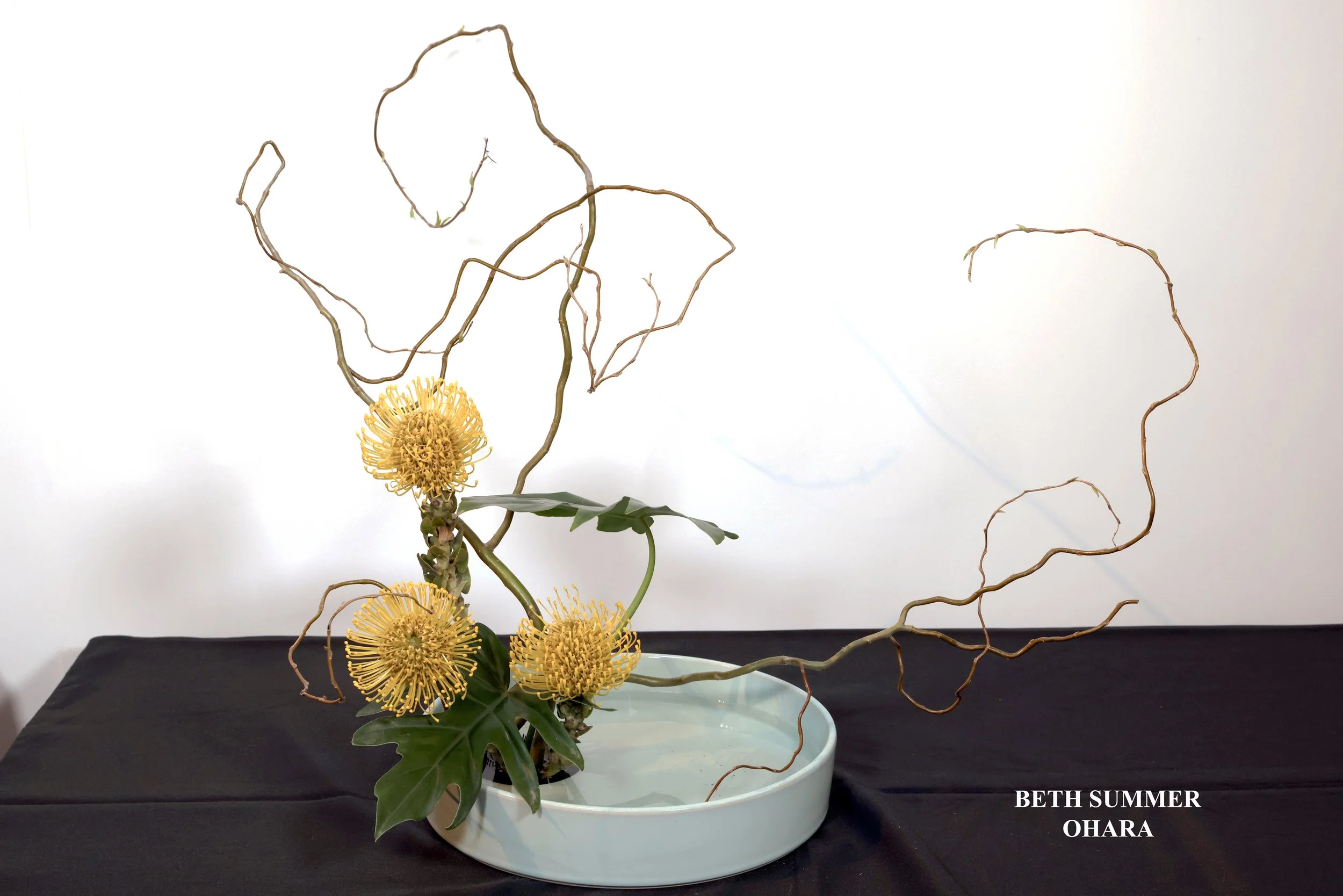 Stefania Pifferi - IKEBANA 2026 -314 copy.jpg