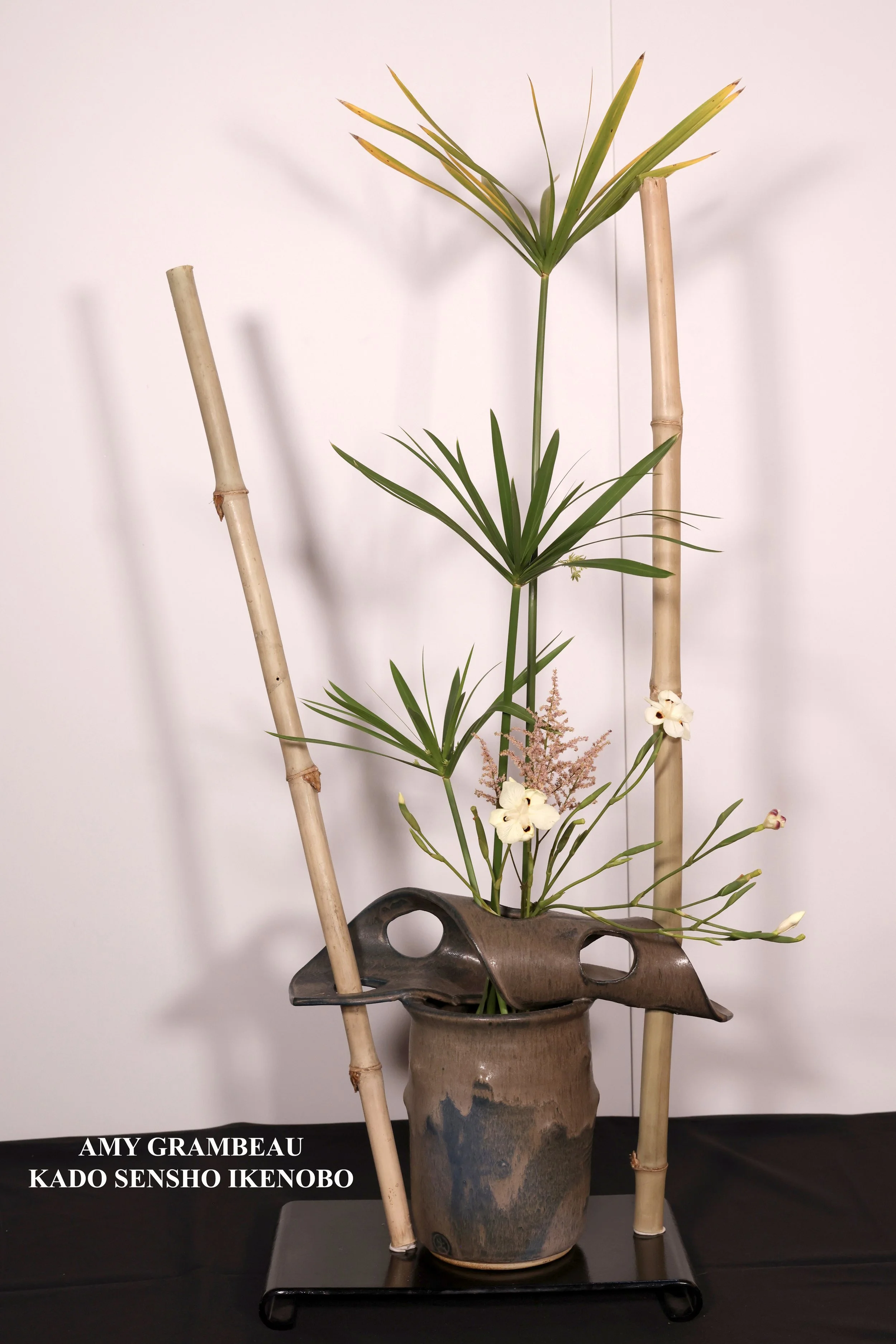 Stefania Pifferi - IKEBANA 2026 -565 copy.jpg