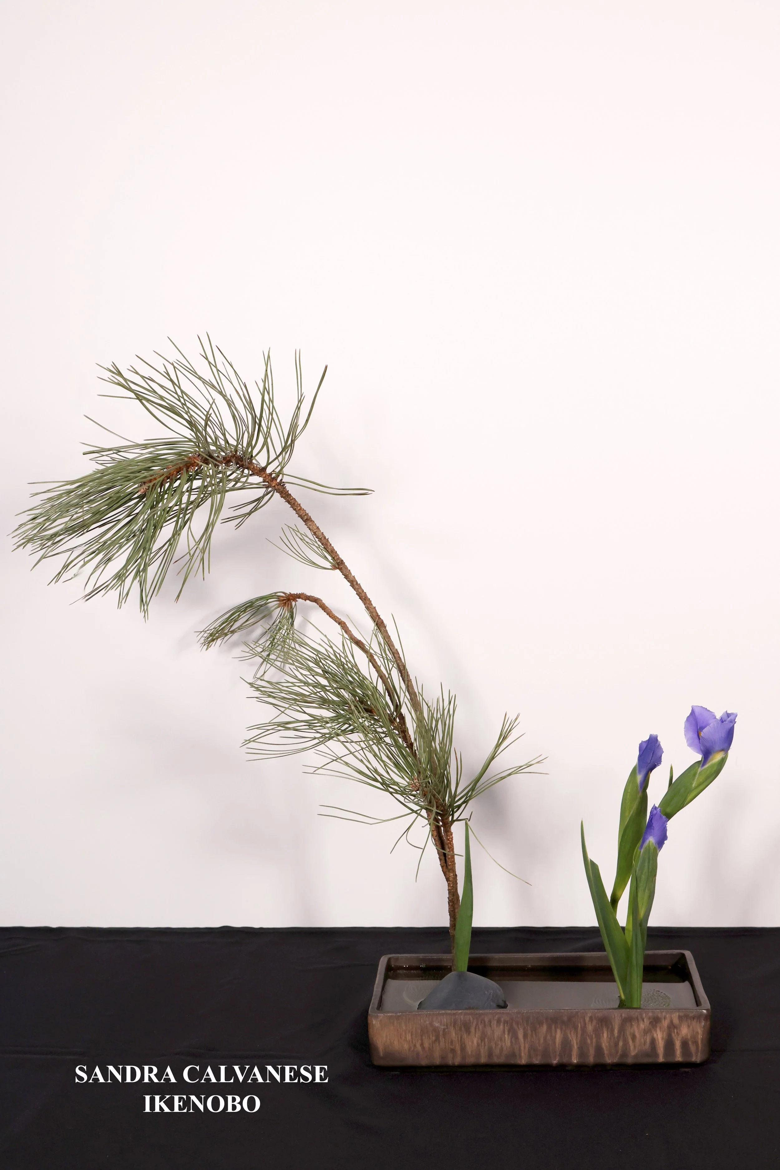 Stefania Pifferi - IKEBANA 2026 -102 copy.jpg